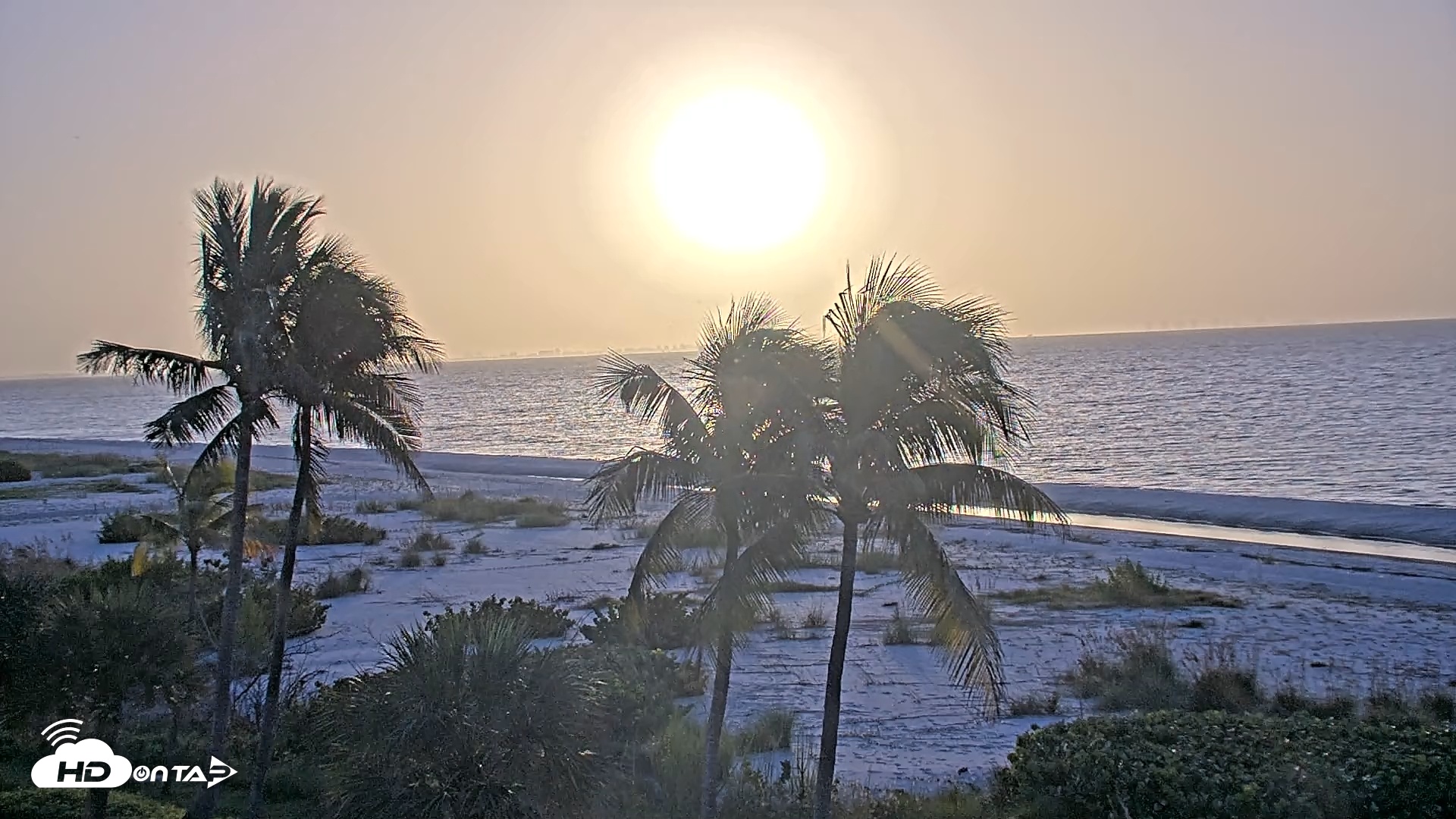 Snapshot of Oceans Reach Sanibel Island Live Cam taken Oct 3, 2025, 7:44am EDT