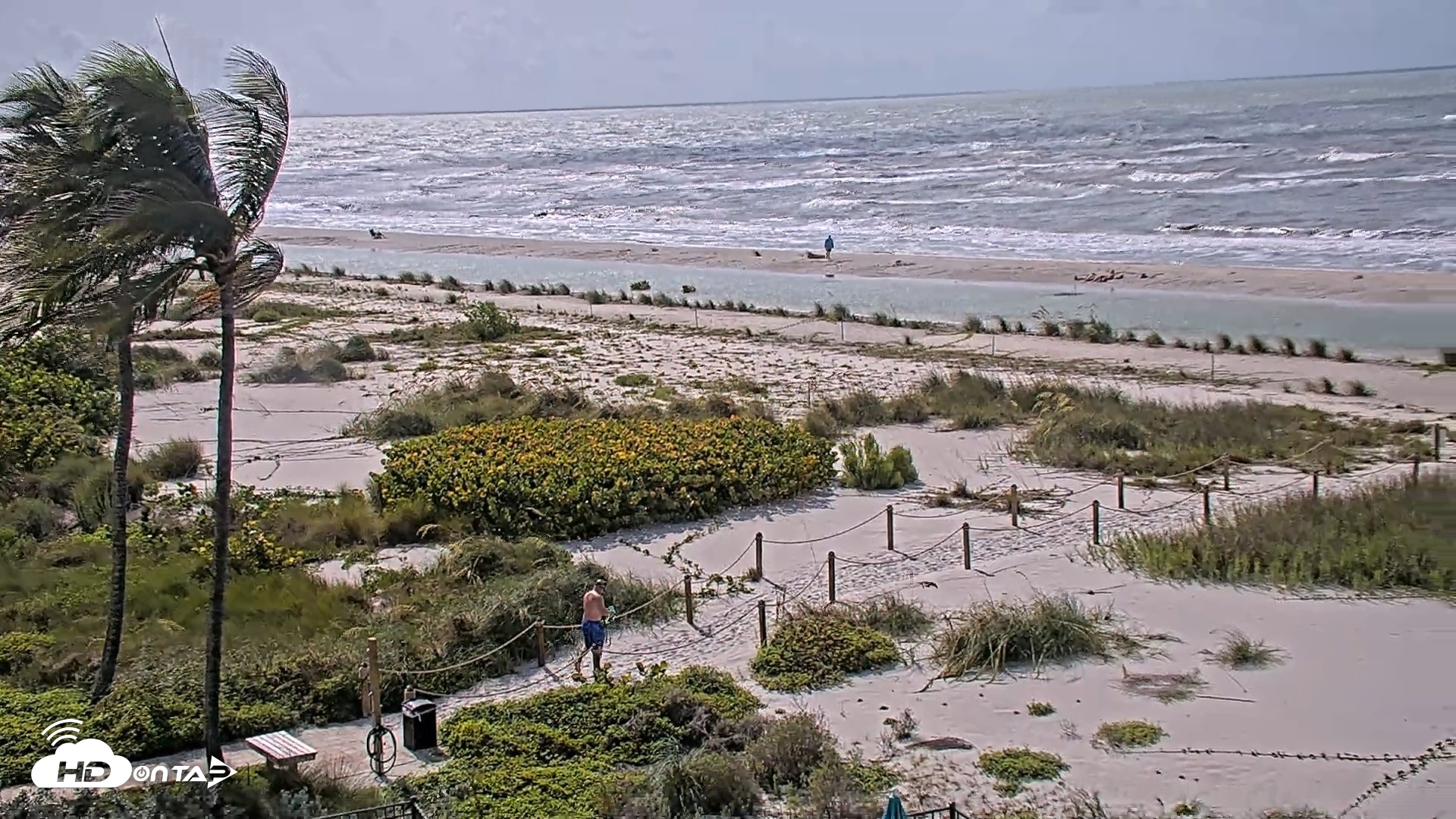 Snapshot of Oceans Reach Sanibel Island Live Cam taken Jul 21, 2026, 10:16am EDT