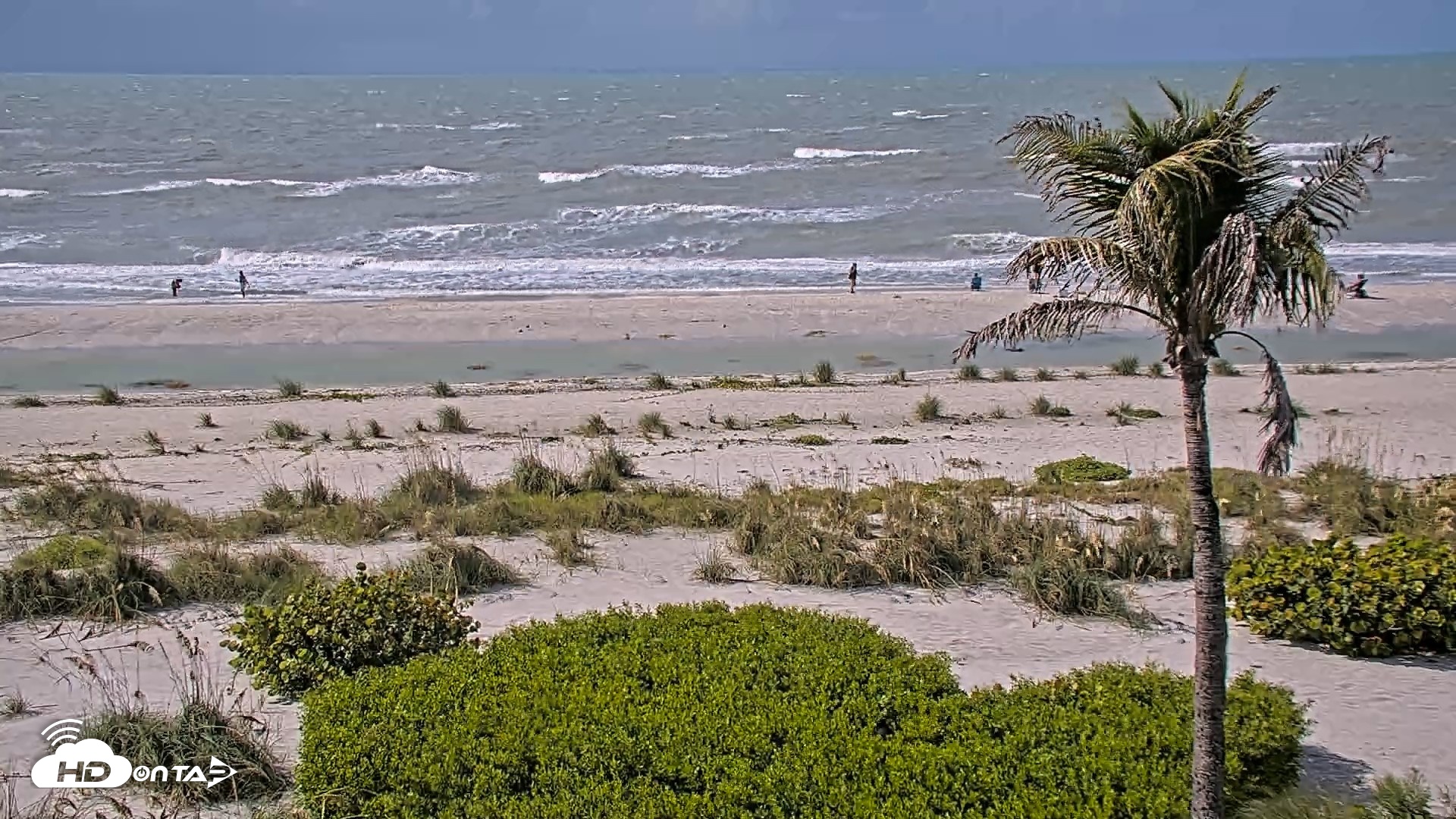 Snapshot of Oceans Reach Sanibel Island Live Cam taken Jul 20, 2026, 10:18am EDT