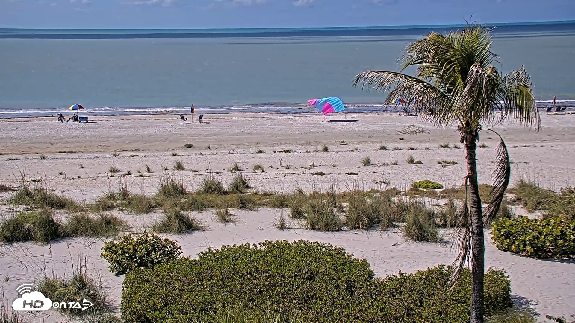 Snapshot of Oceans Reach Sanibel Island Live Cam taken May 14, 2026, 10:18am EDT