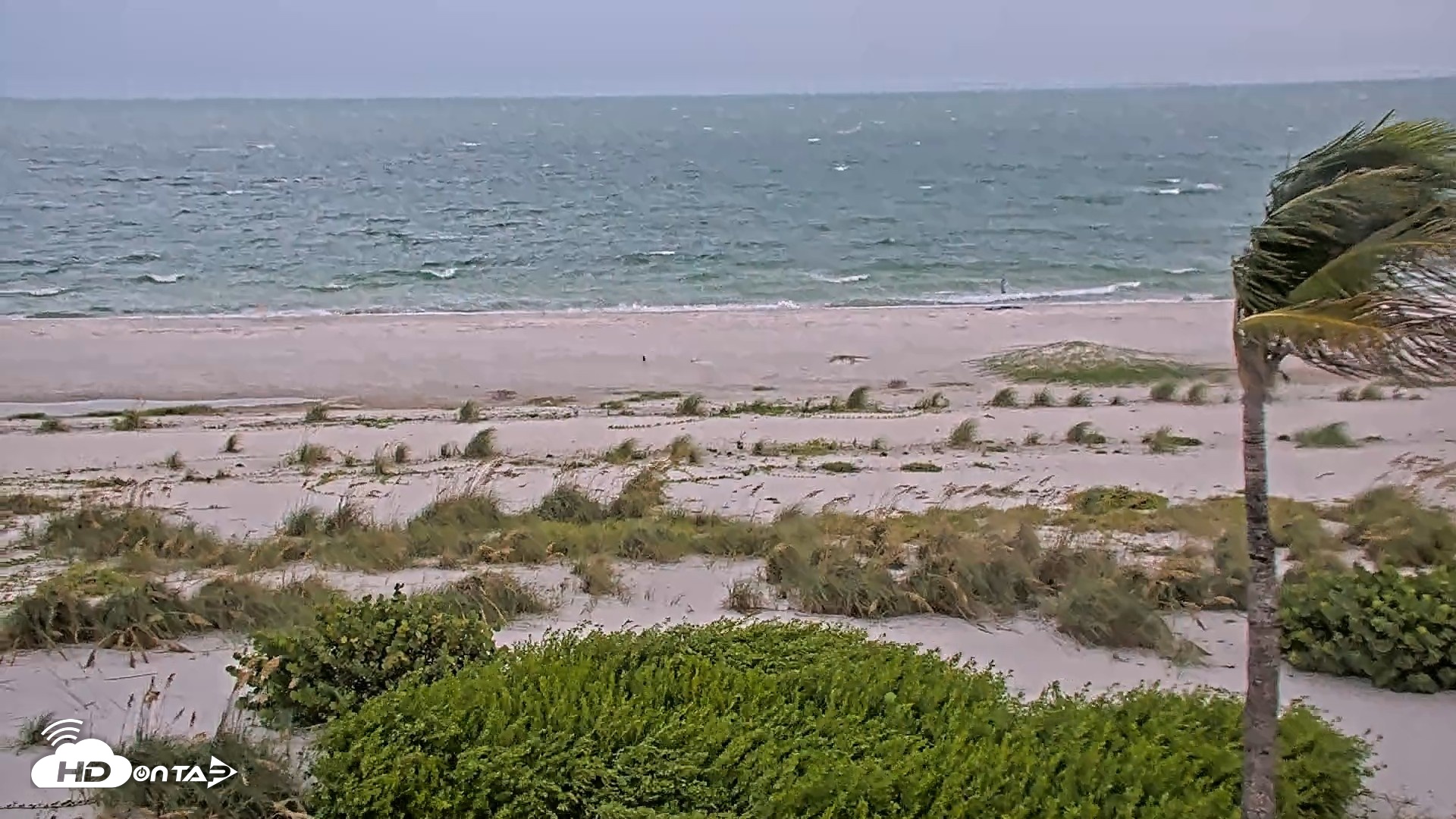 Snapshot of Oceans Reach Sanibel Island Live Cam taken Sep 10, 2026, 3:20pm EDT