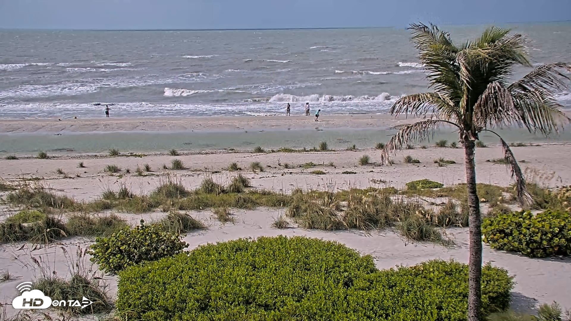 Snapshot of Oceans Reach Sanibel Island Live Cam taken Jul 21, 2026, 10:17am EDT