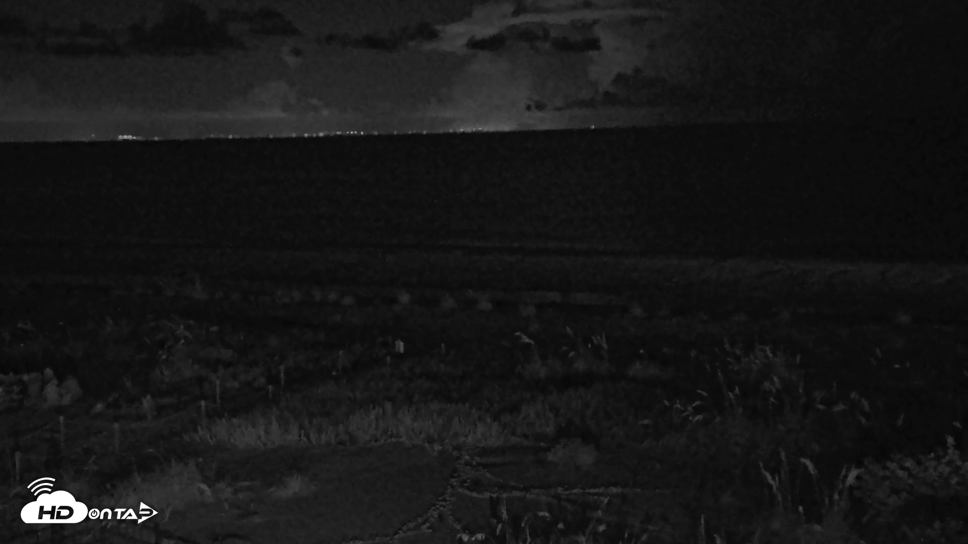 Snapshot of Oceans Reach Sanibel Island Live Cam taken Jul 26, 2026, 4:19am EDT