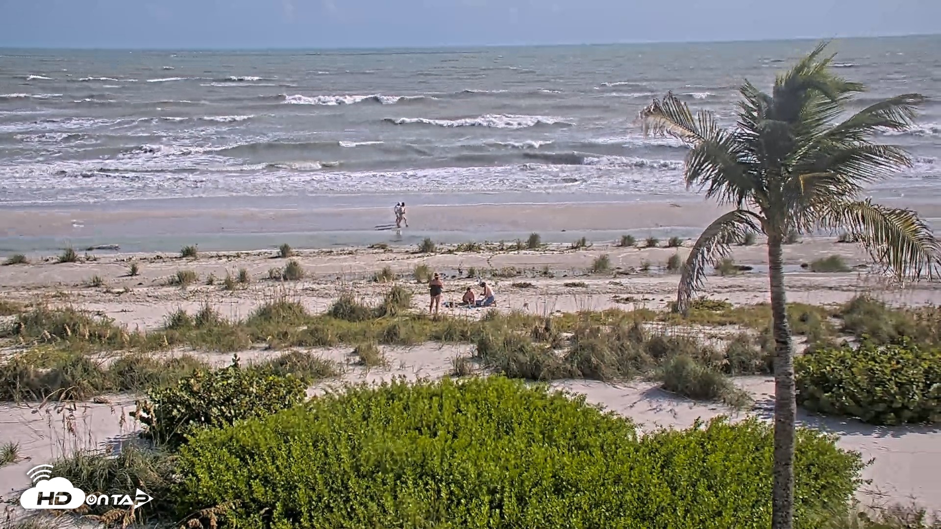 Snapshot of Oceans Reach Sanibel Island Live Cam taken Oct 9, 2026, 3:42pm EDT