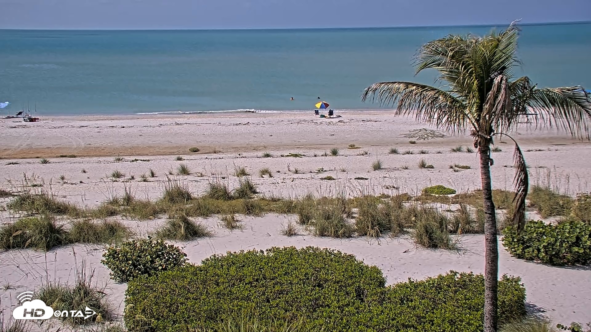 Snapshot of Oceans Reach Sanibel Island Live Cam taken Jun 2, 2026, 10:42am EDT