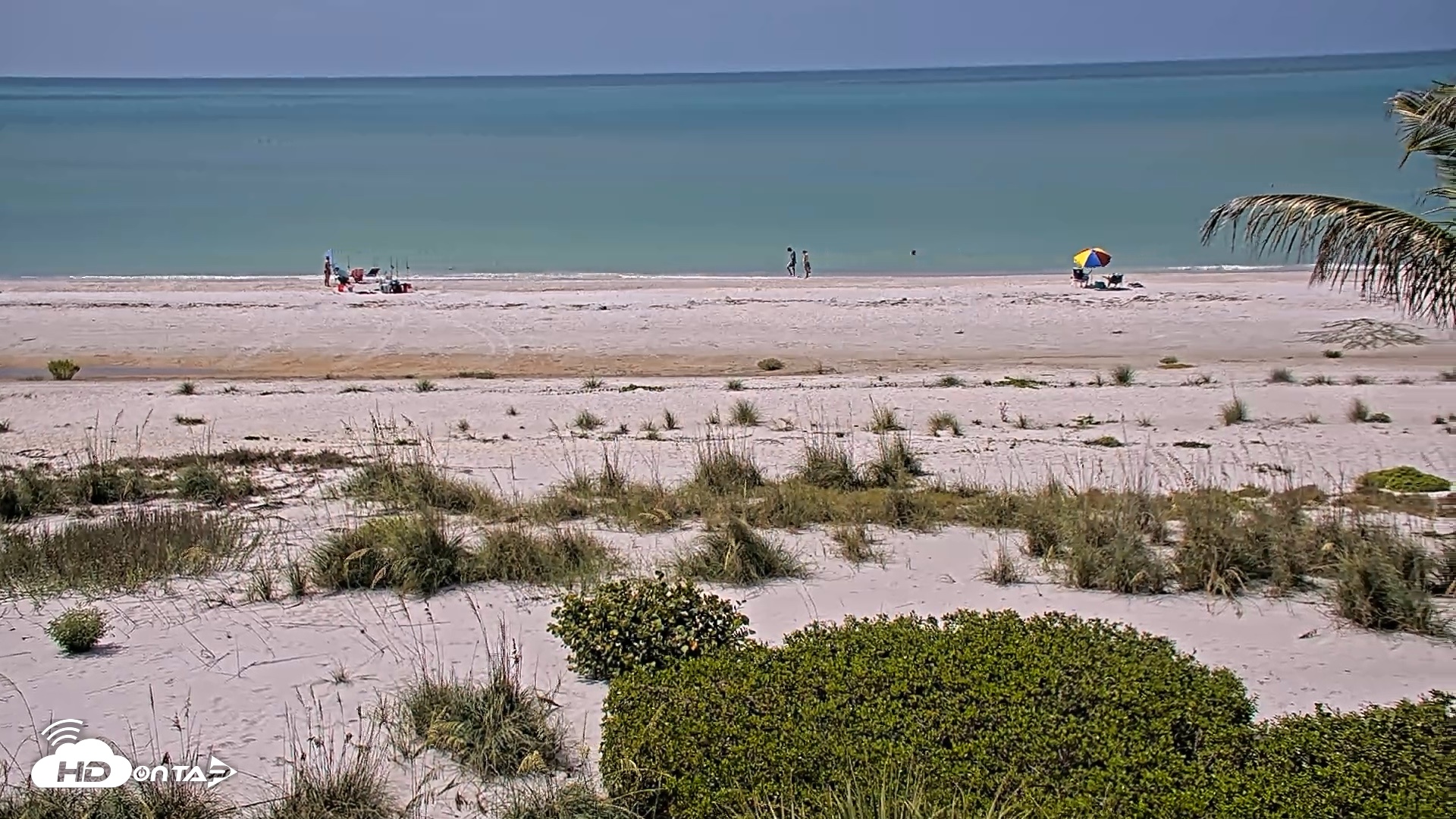 Snapshot of Oceans Reach Sanibel Island Live Cam taken Jun 2, 2026, 11:00am EDT