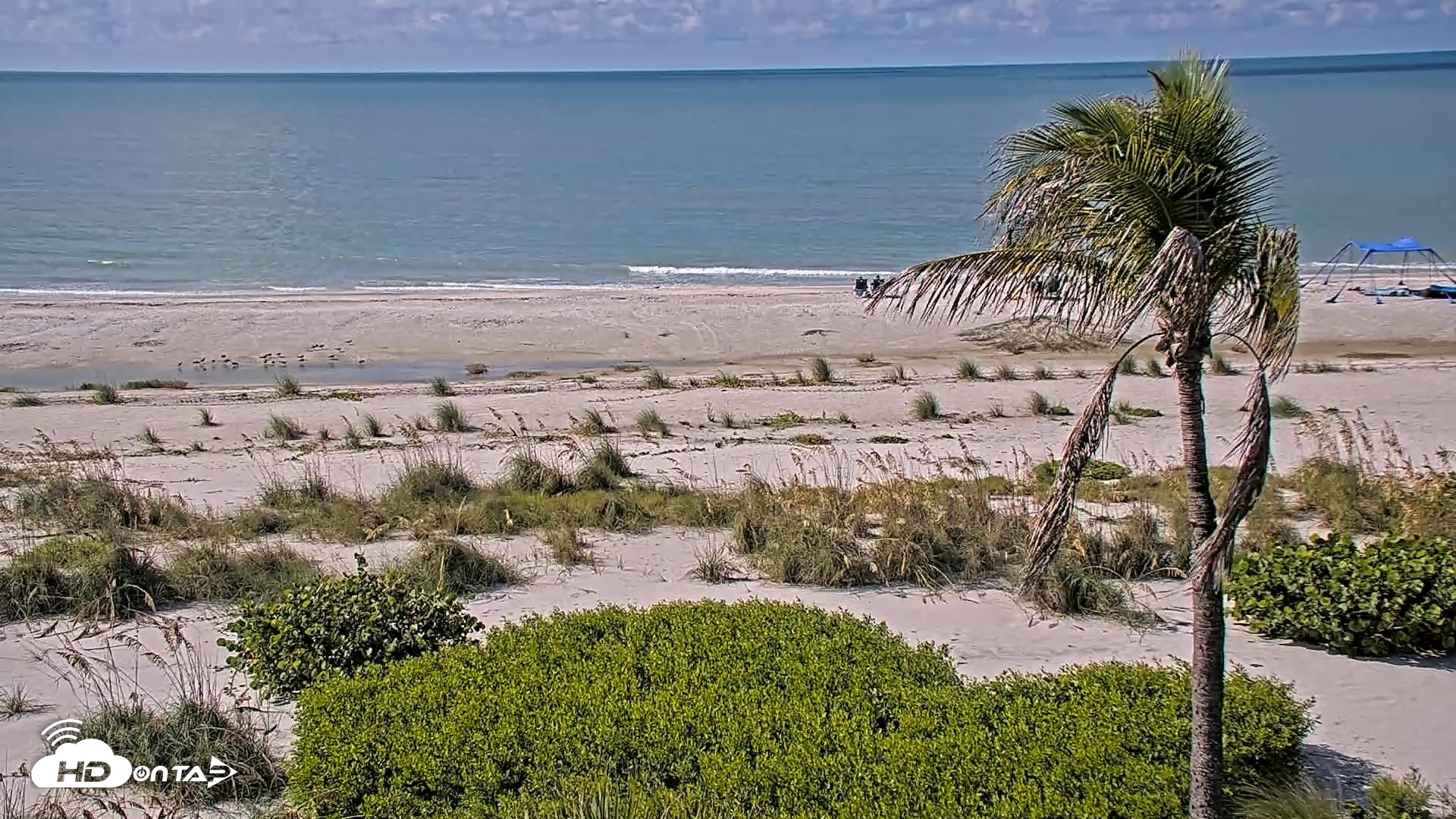 Snapshot of Oceans Reach Sanibel Island Live Cam taken Jul 31, 2026, 10:07am EDT