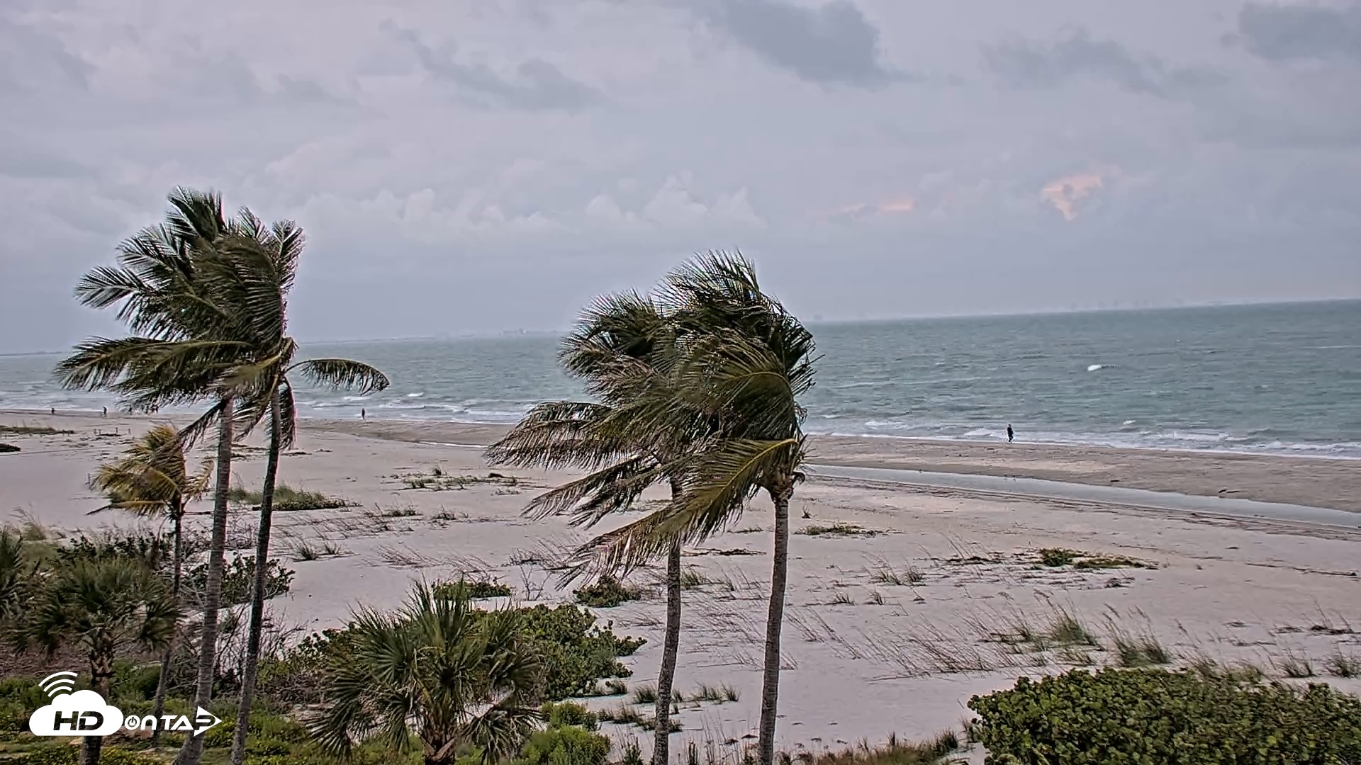 Snapshot of Oceans Reach Sanibel Island Live Cam taken May 4, 2025, 7:21am EDT