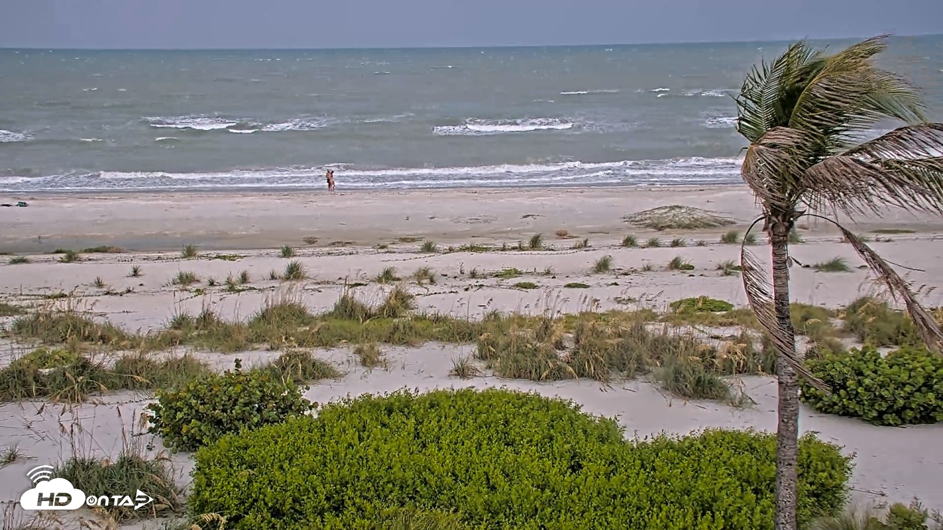 Snapshot of Oceans Reach Sanibel Island Live Cam taken Aug 3, 2026, 12:44pm EDT