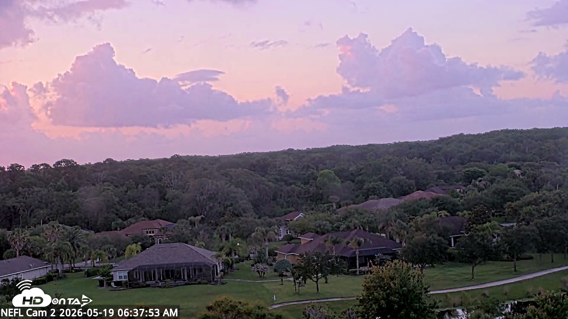 Snapshot of NE Florida Eagles Live Webcam taken May 19, 2026, 6:38am EDT