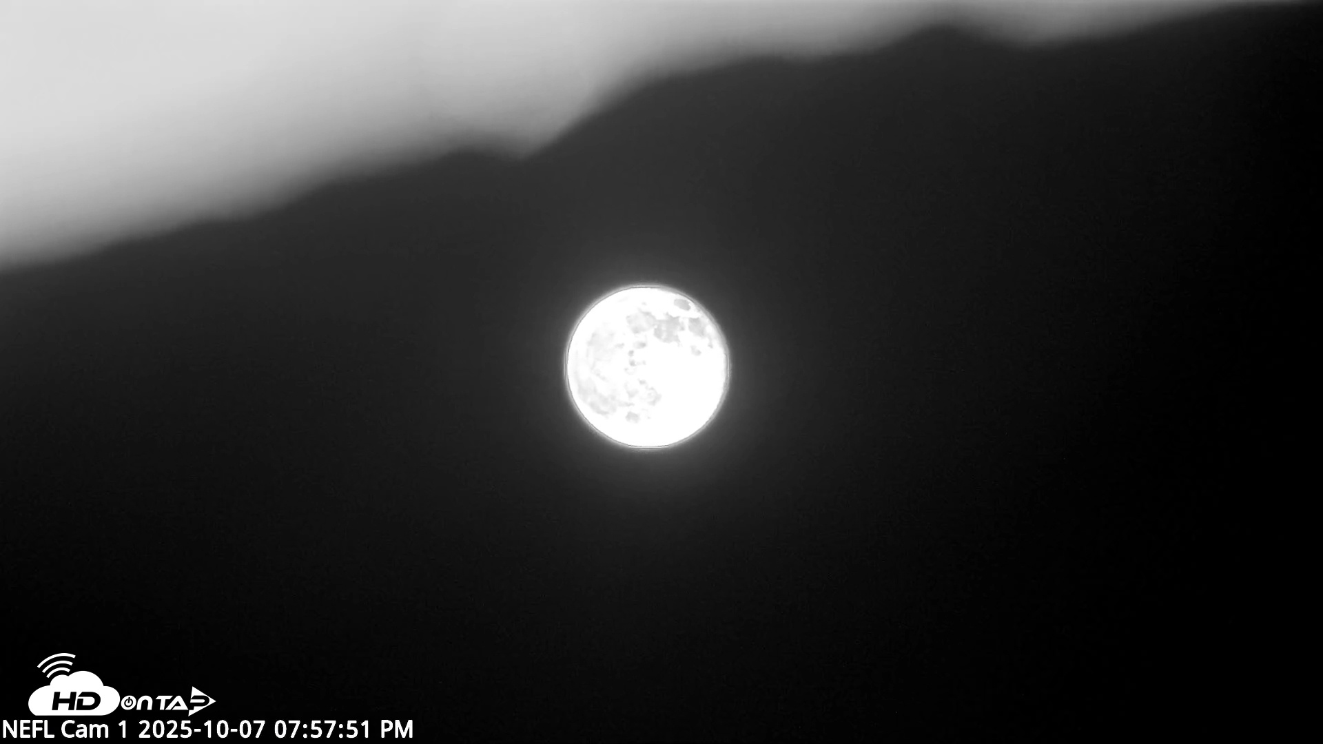 Snapshot of NE Florida Eagles Live Webcam taken Oct 7, 2025, 7:58pm EDT