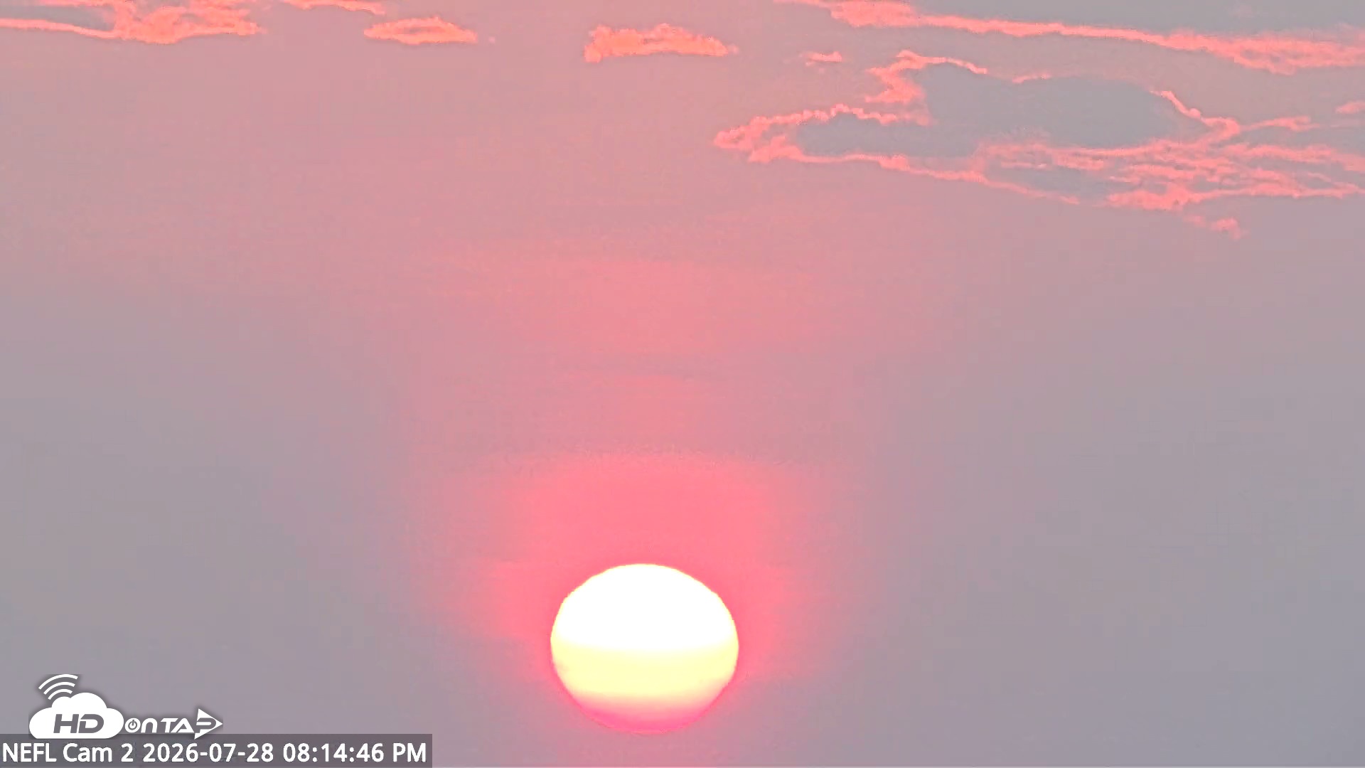 Snapshot of NE Florida Eagles Live Webcam taken Jul 28, 2026, 8:15pm EDT