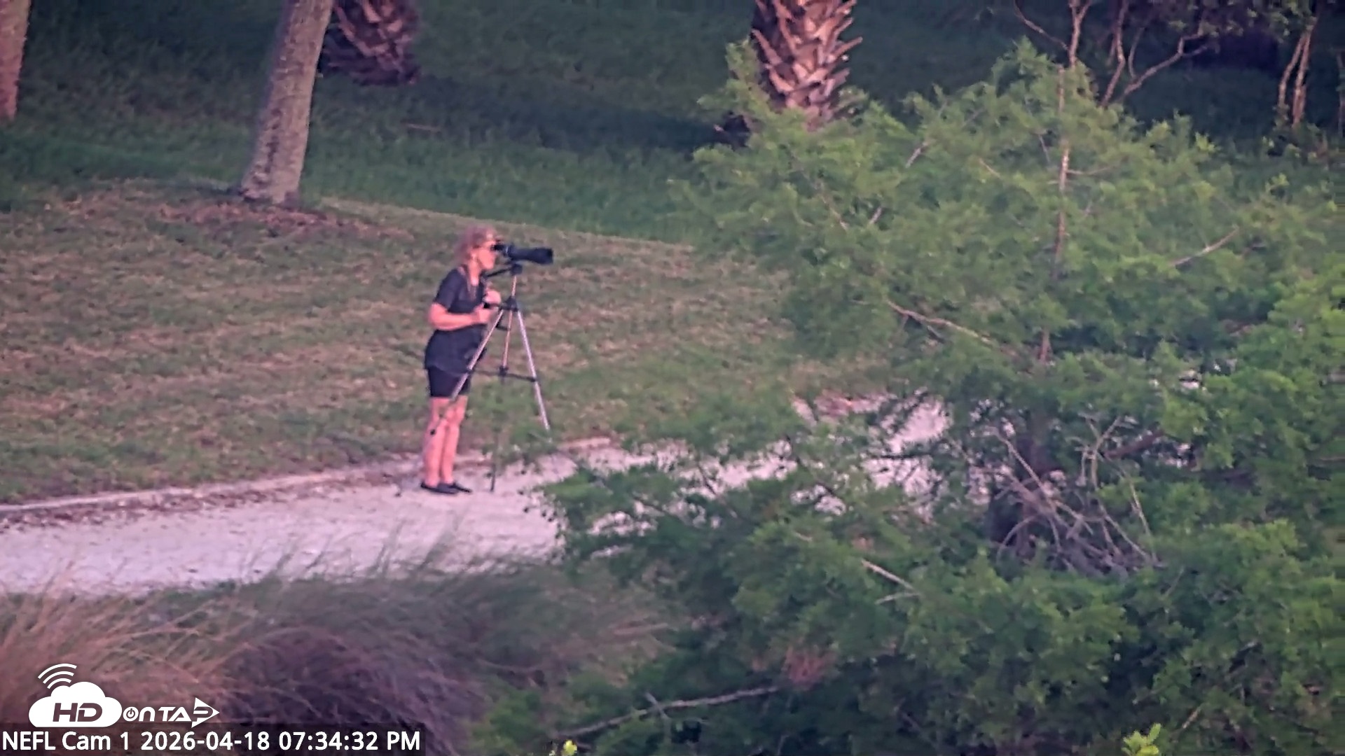 Snapshot of NE Florida Eagles Live Webcam taken Apr 18, 2026, 7:35pm EDT