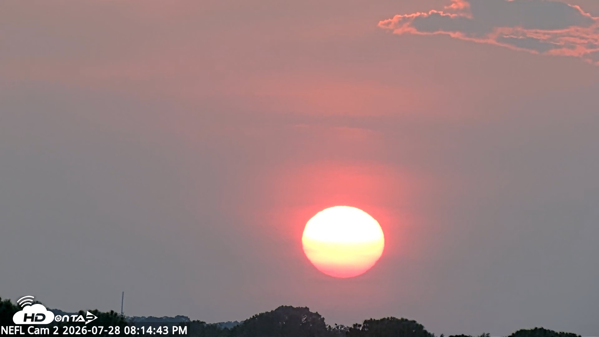 Snapshot of NE Florida Eagles Live Webcam taken Jul 28, 2026, 8:15pm EDT