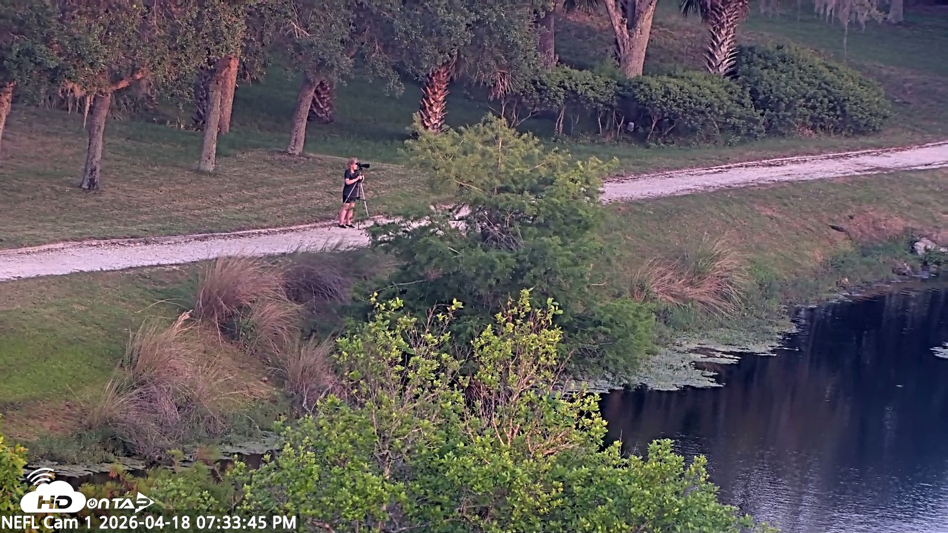 Snapshot of NE Florida Eagles Live Webcam taken Apr 18, 2026, 7:34pm EDT