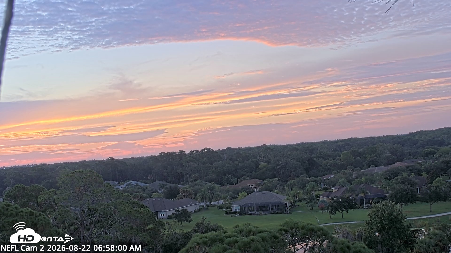 Snapshot of NE Florida Eagles Live Webcam taken Aug 22, 2026, 6:58am EDT