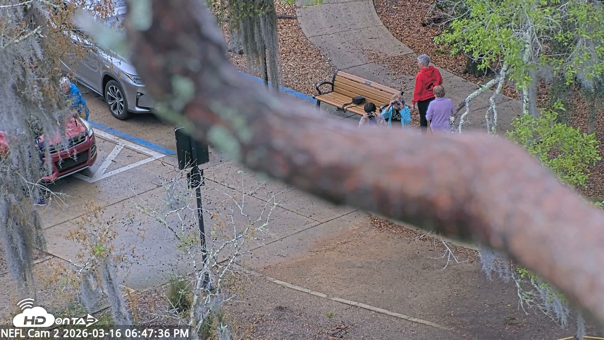 Snapshot of NE Florida Eagles Live Webcam taken Mar 16, 2026, 6:48pm EDT