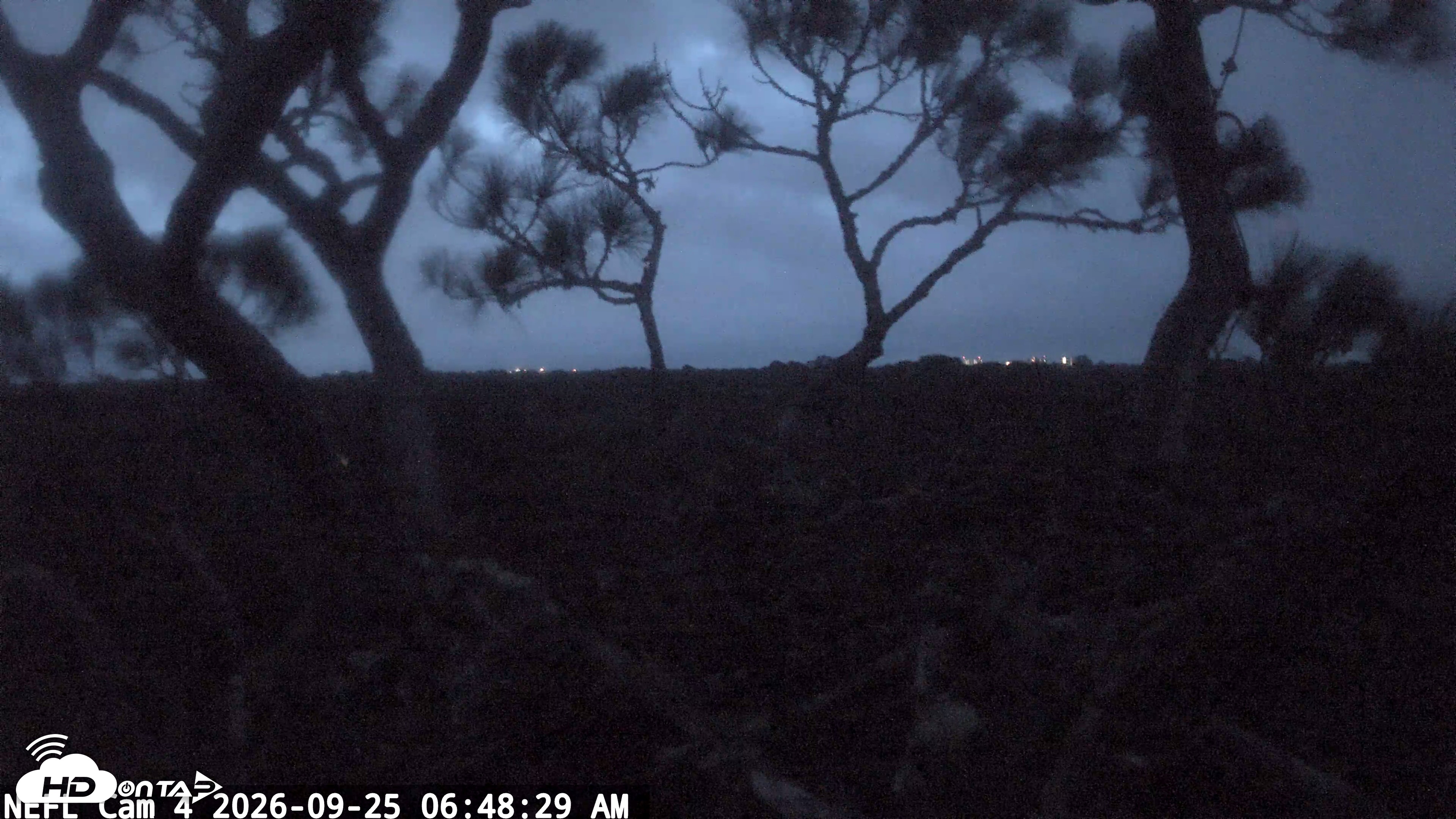 Snapshot of NE Florida Eagles Live Webcam taken Sep 25, 2026, 6:49am EDT