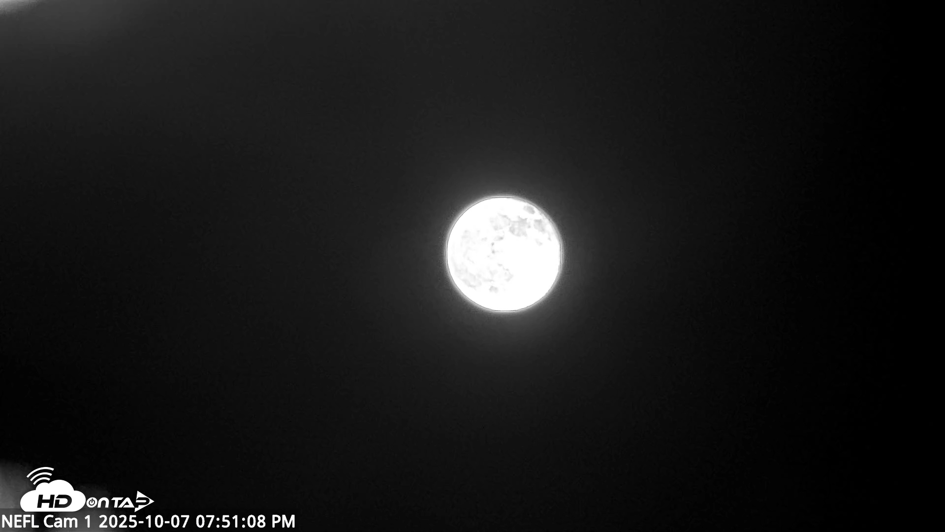 Snapshot of NE Florida Eagles Live Webcam taken Oct 7, 2025, 7:51pm EDT