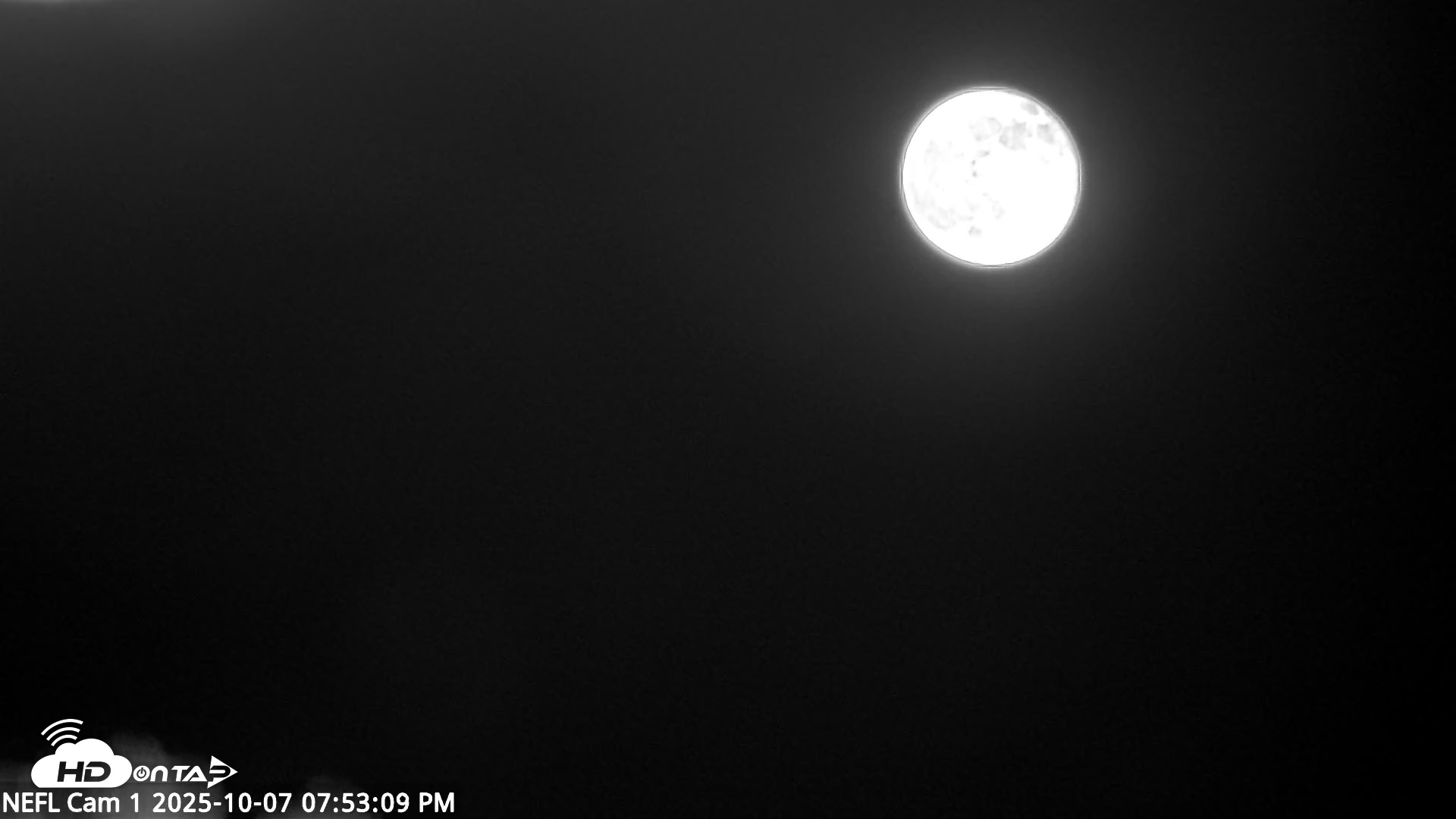 Snapshot of NE Florida Eagles Live Webcam taken Oct 7, 2025, 7:54pm EDT