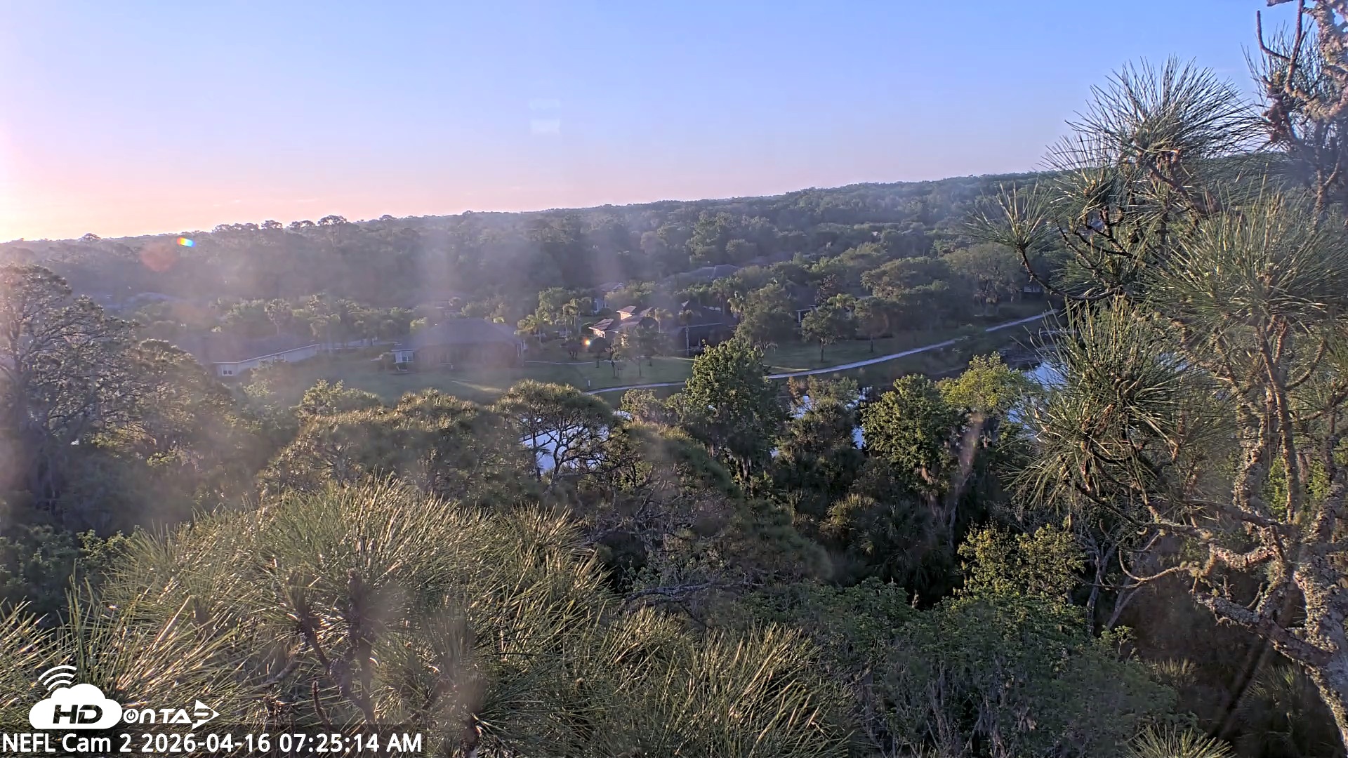 Snapshot of NE Florida Eagles Live Webcam taken Apr 16, 2026, 7:25am EDT