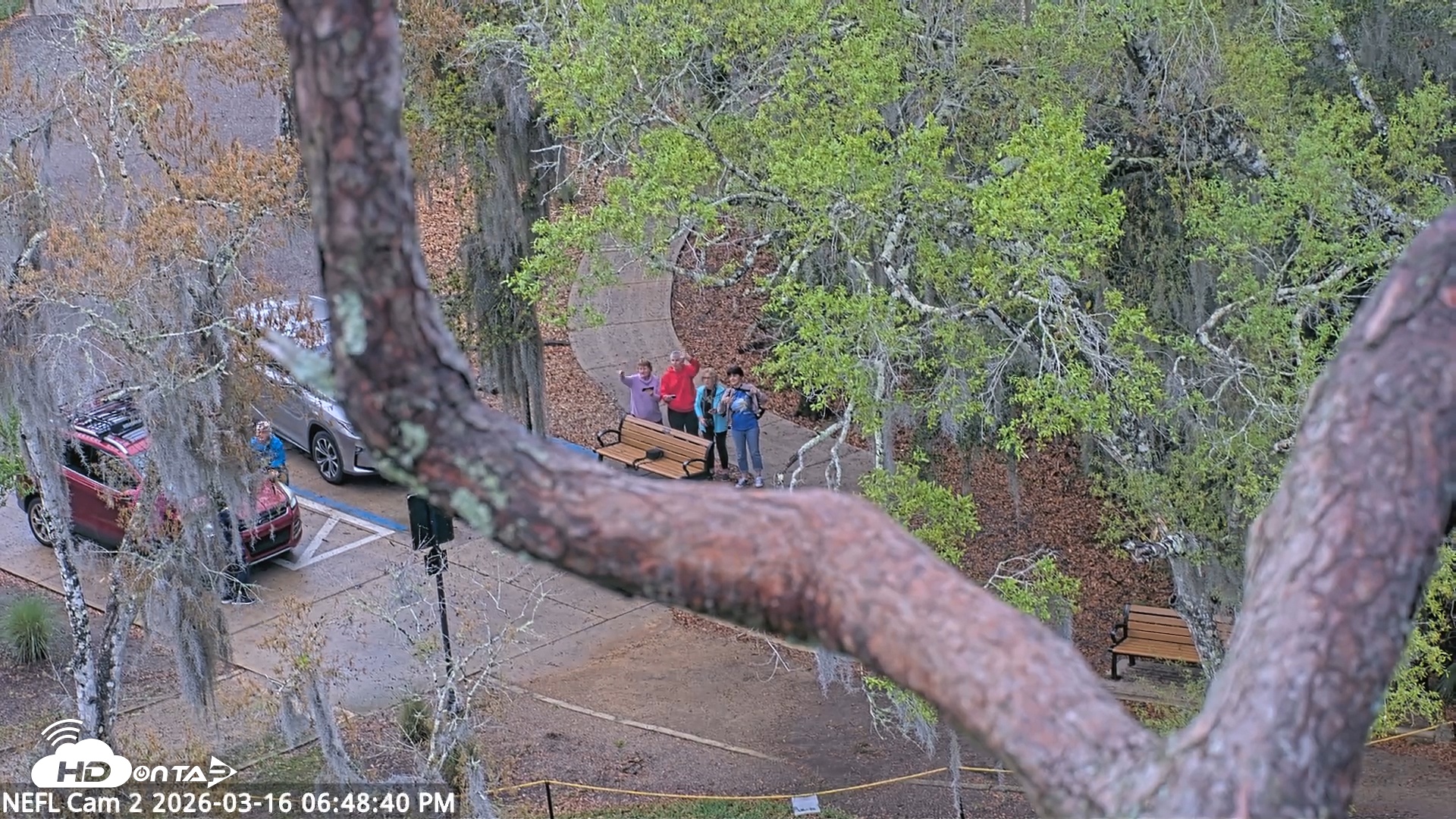 Snapshot of NE Florida Eagles Live Webcam taken Mar 16, 2026, 6:49pm EDT