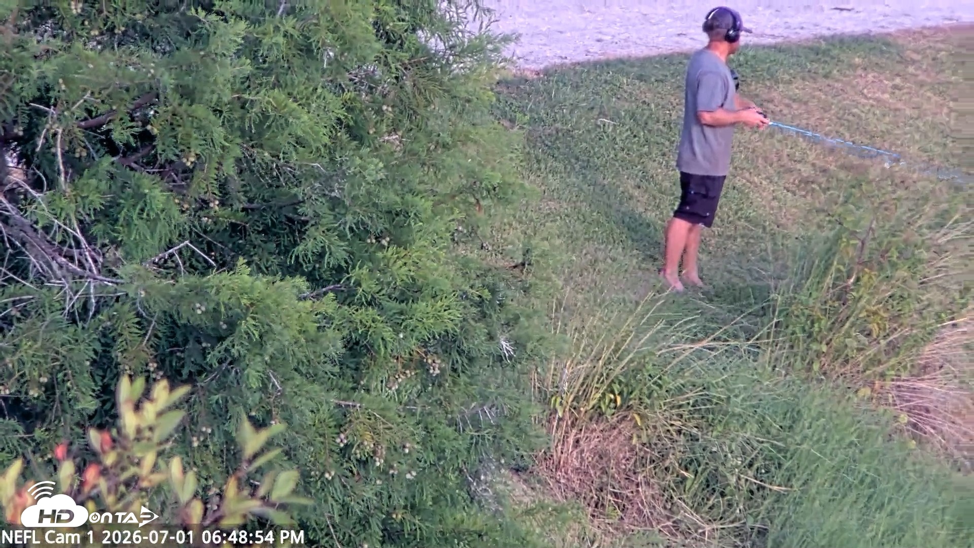 Snapshot of NE Florida Eagles Live Webcam taken Jul 1, 2026, 6:49pm EDT