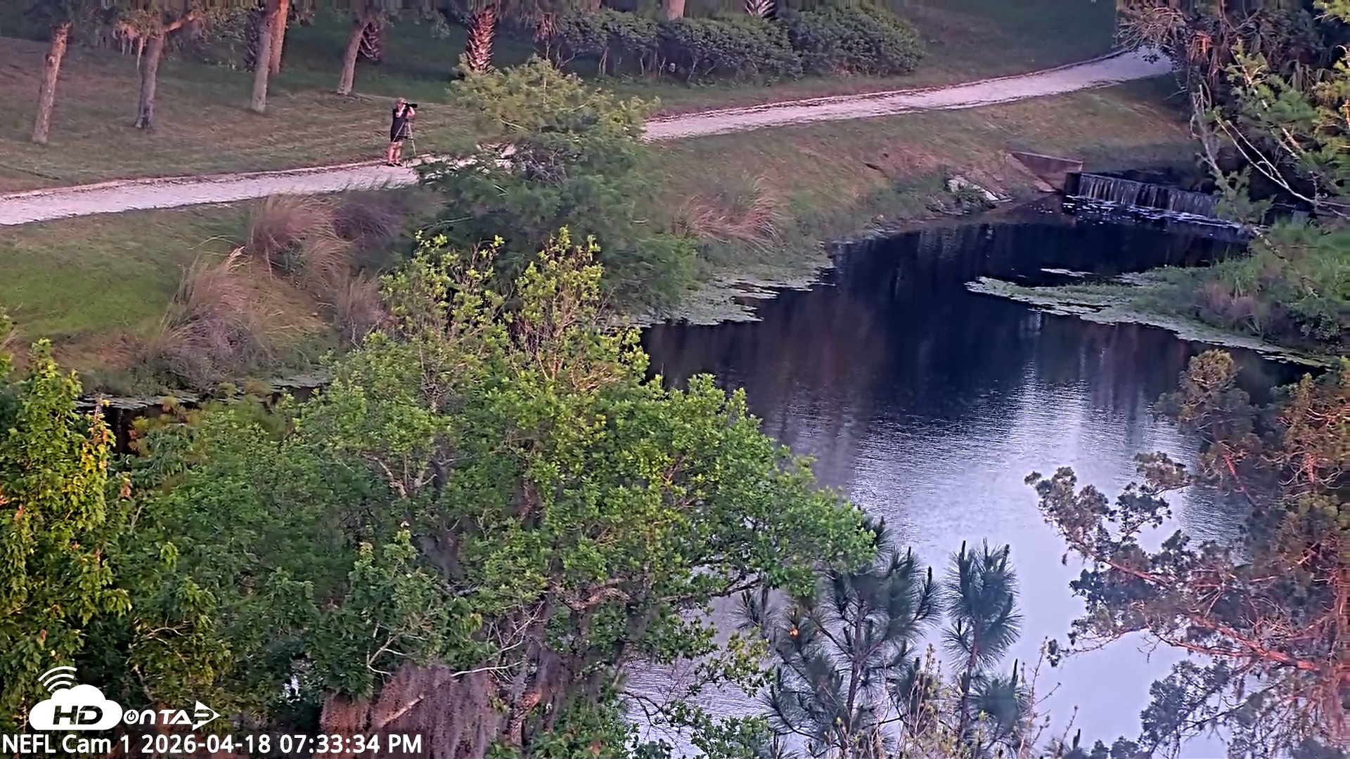 Snapshot of NE Florida Eagles Live Webcam taken Apr 18, 2026, 7:34pm EDT