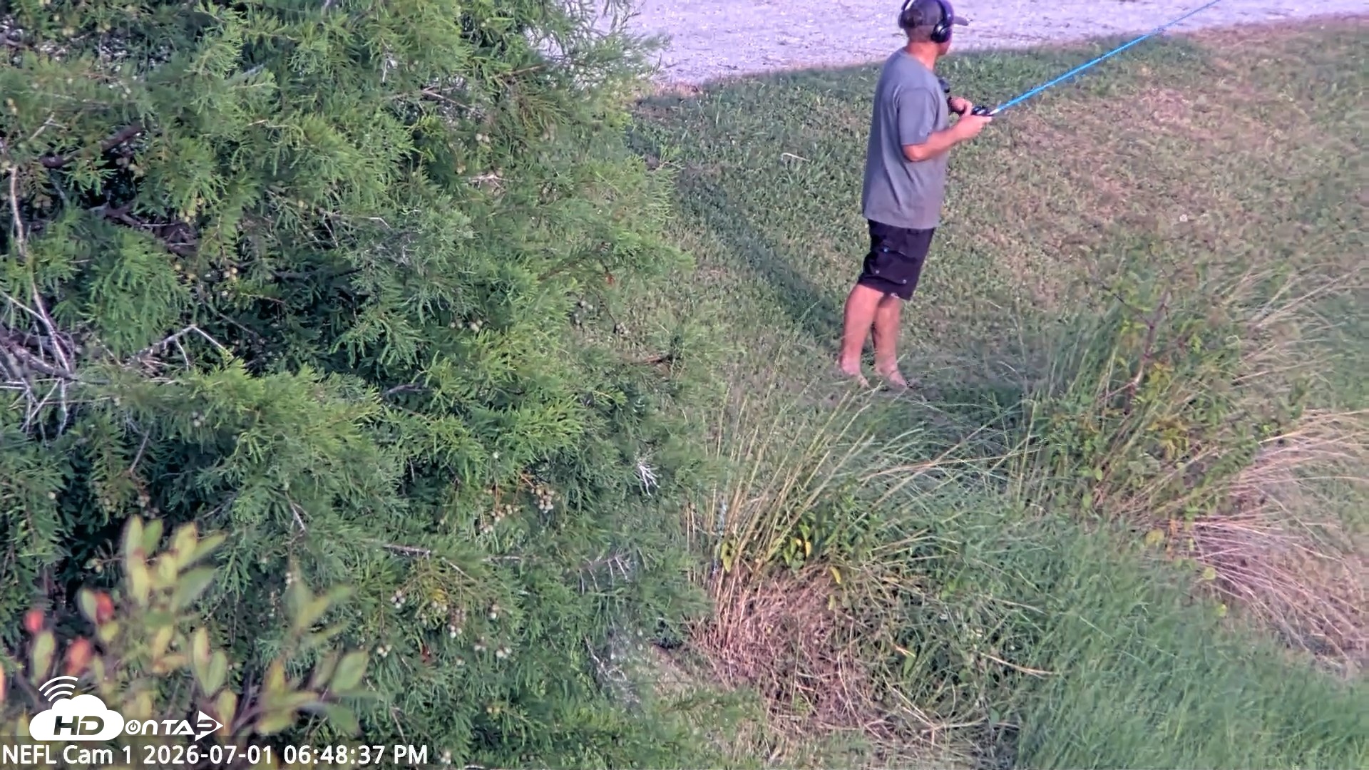 Snapshot of NE Florida Eagles Live Webcam taken Jul 1, 2026, 6:49pm EDT
