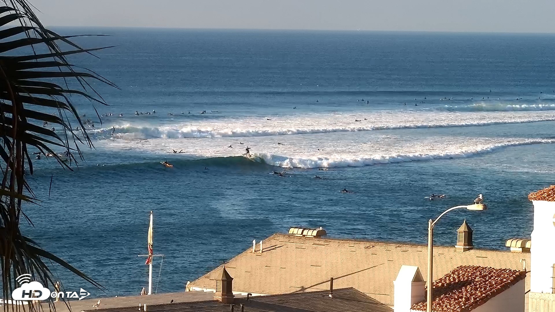 Snapshot of Malibu Point Live Surf Cam taken Sep 5, 2026, 7:41am PDT