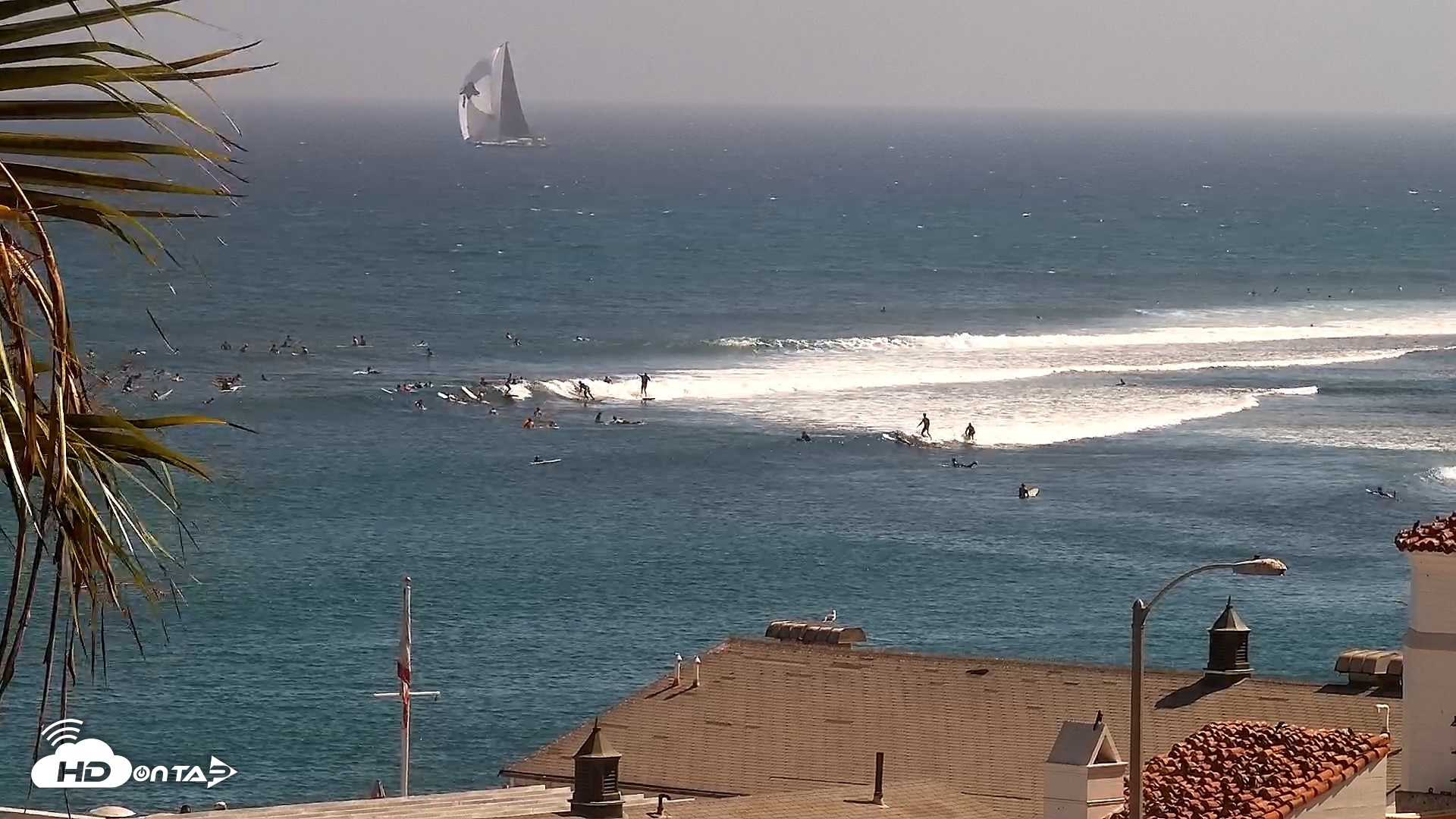 Snapshot of Malibu Point Live Surf Cam taken Aug 1, 2026, 3:41pm PDT