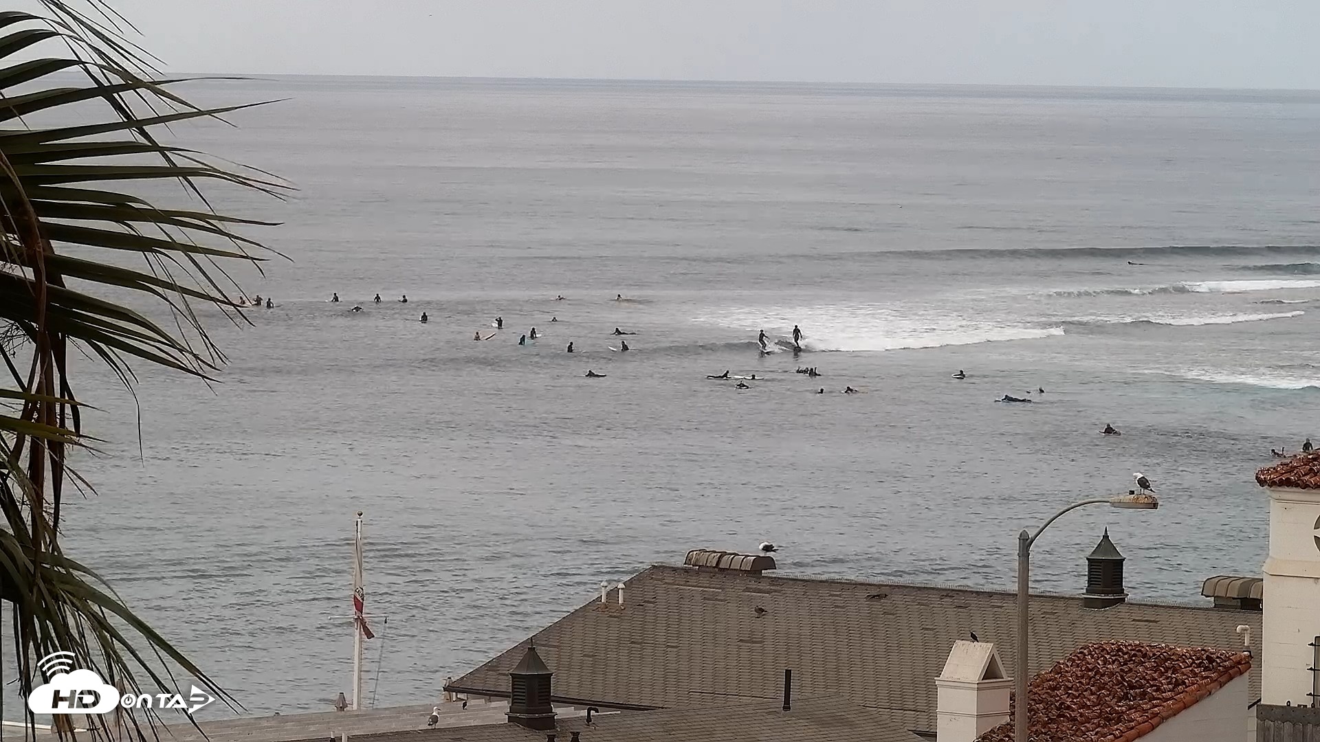 Snapshot of Malibu Point Live Surf Cam taken Sep 1, 2026, 8:37am PDT