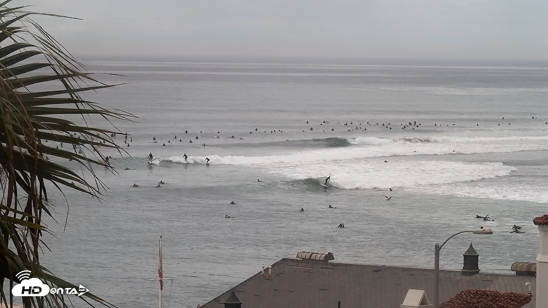 Snapshot of Malibu Point Live Surf Cam taken Sep 7, 2026, 11:08am PDT