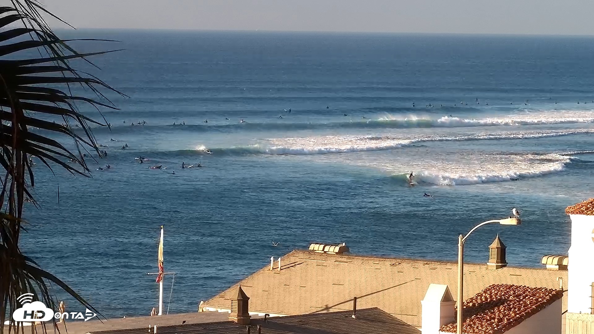 Snapshot of Malibu Point Live Surf Cam taken Sep 5, 2026, 7:33am PDT
