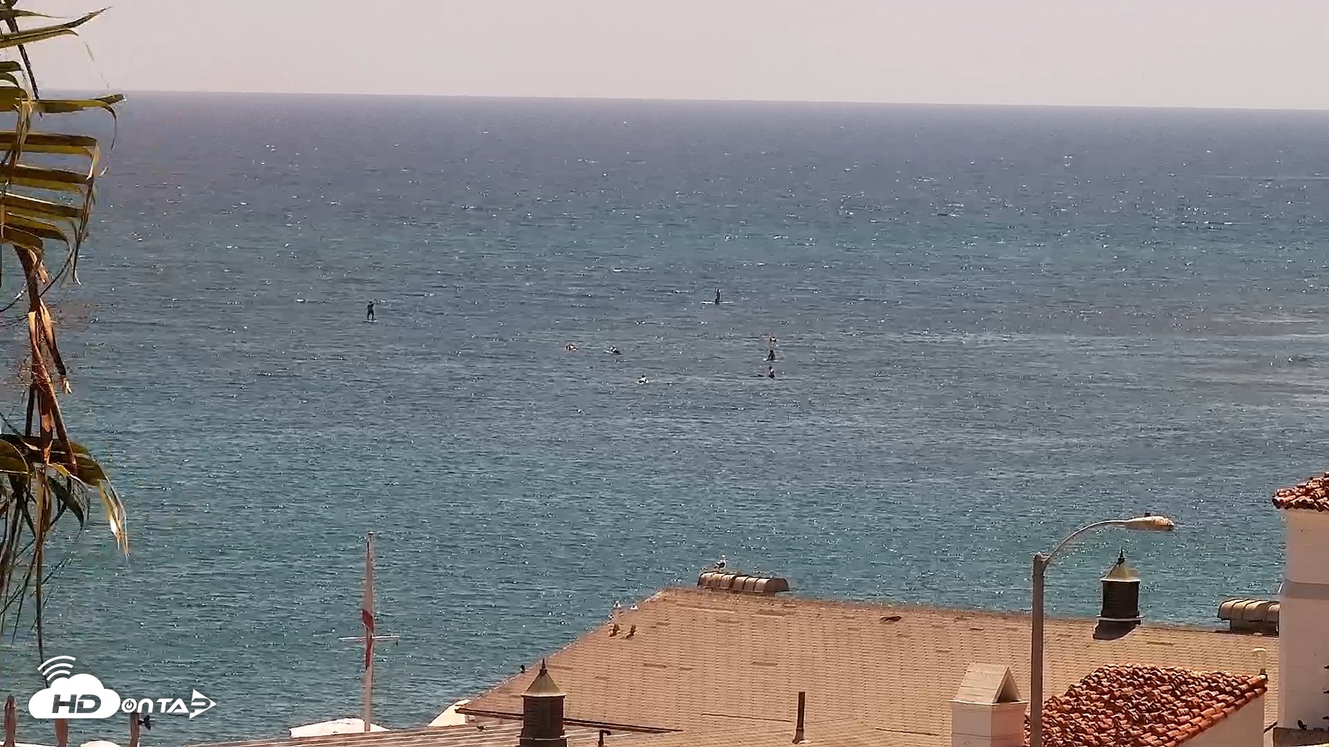 Snapshot of Malibu Point Live Surf Cam taken Aug 6, 2026, 1:54pm PDT
