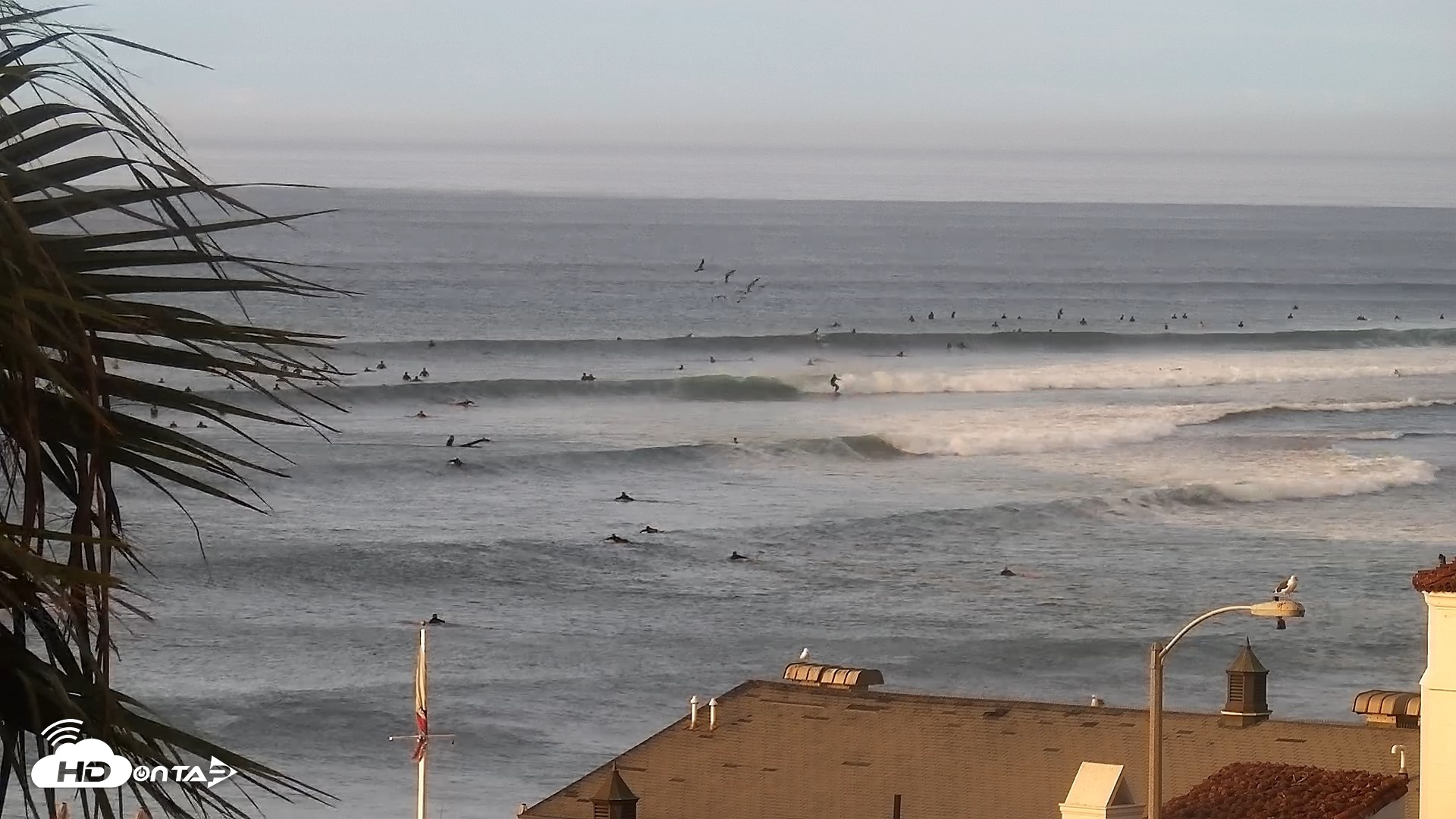 Snapshot of Malibu Point Live Surf Cam taken Sep 7, 2026, 7:08am PDT