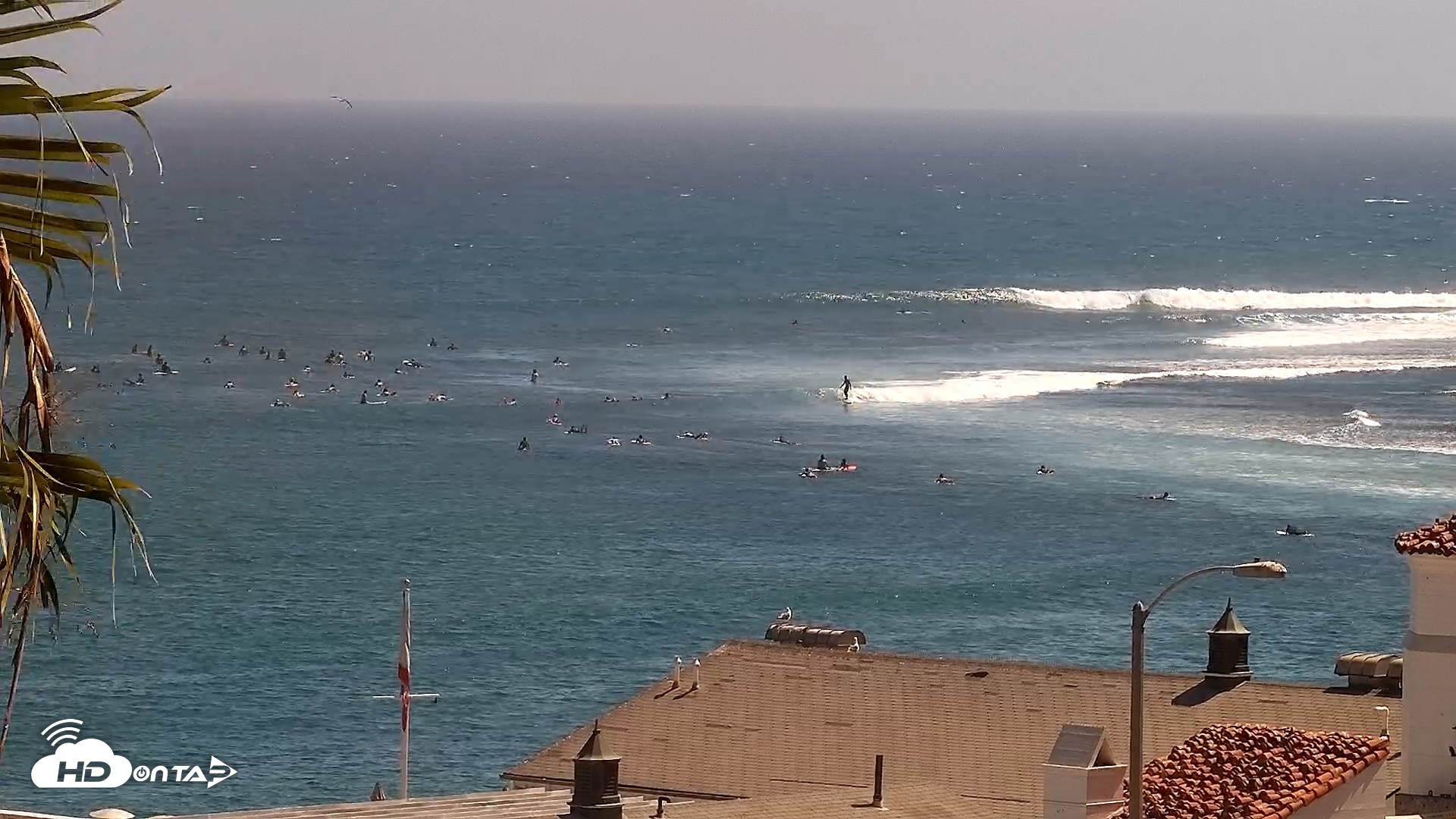 Snapshot of Malibu Point Live Surf Cam taken Aug 1, 2026, 3:09pm PDT