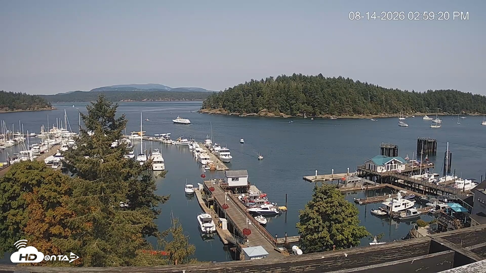 Snapshot of Friday Harbor - San Juan Island Live Webcam taken Aug 14, 2026, 3:00pm PDT