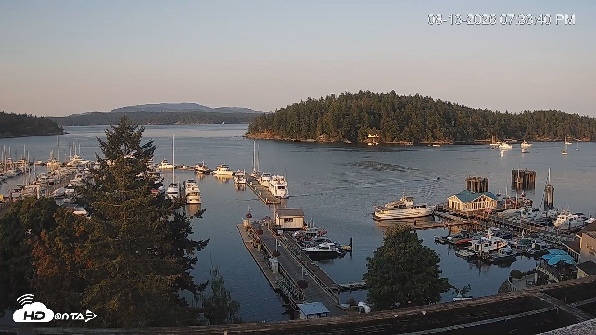 Snapshot of Friday Harbor - San Juan Island Live Webcam taken Aug 13, 2026, 7:37pm PDT