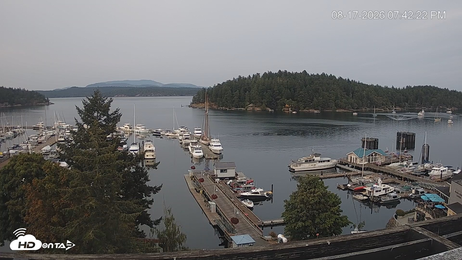 Snapshot of Friday Harbor - San Juan Island Live Webcam taken Aug 17, 2026, 7:43pm PDT