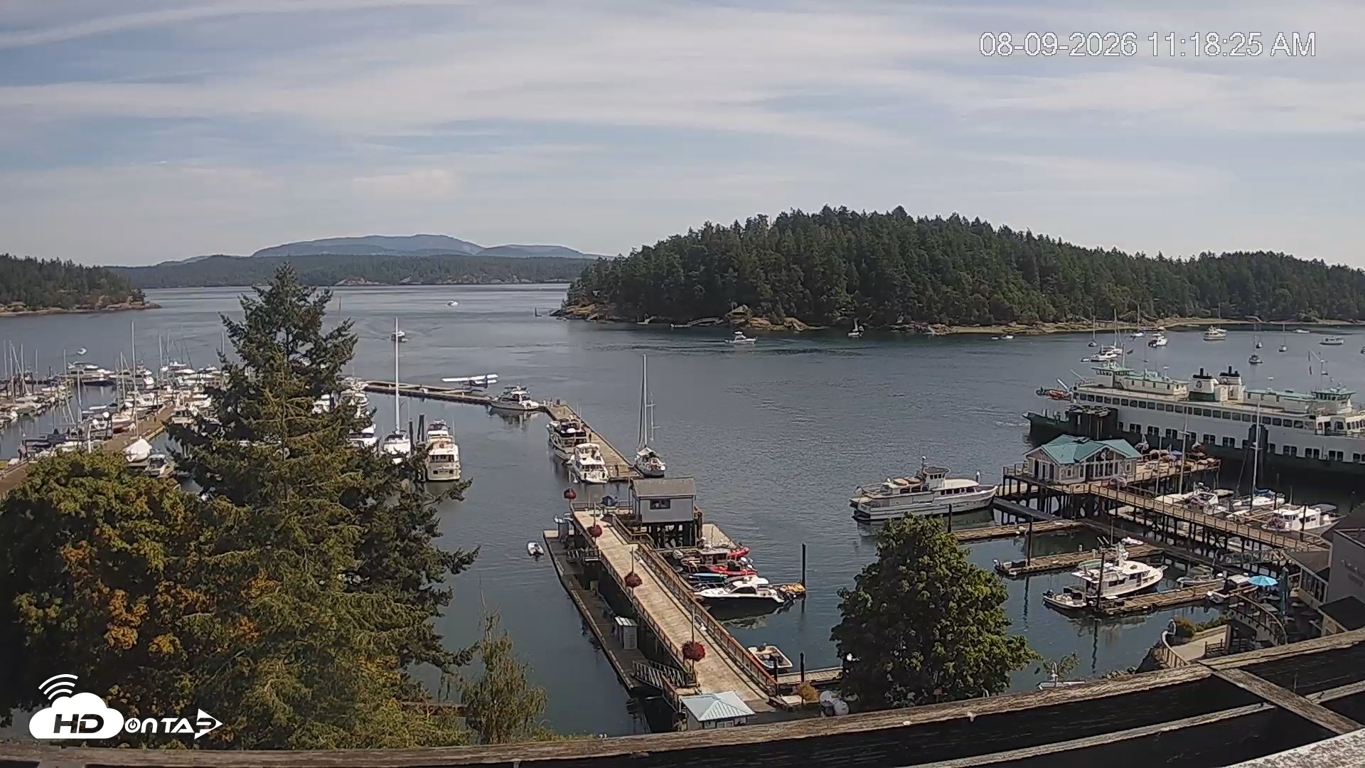 Snapshot of Friday Harbor - San Juan Island Live Webcam taken Aug 9, 2026, 11:19am PDT