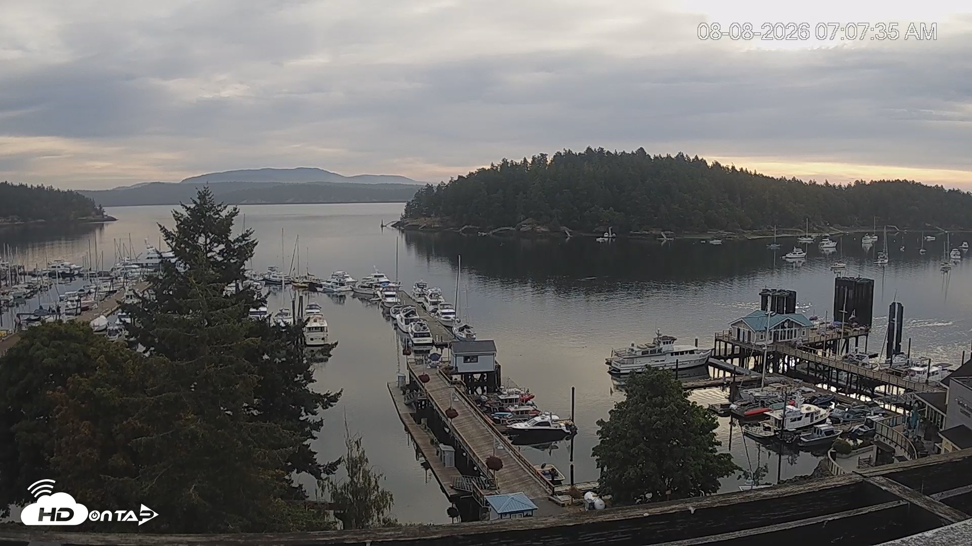 Snapshot of Friday Harbor - San Juan Island Live Webcam taken Aug 8, 2026, 7:08am PDT