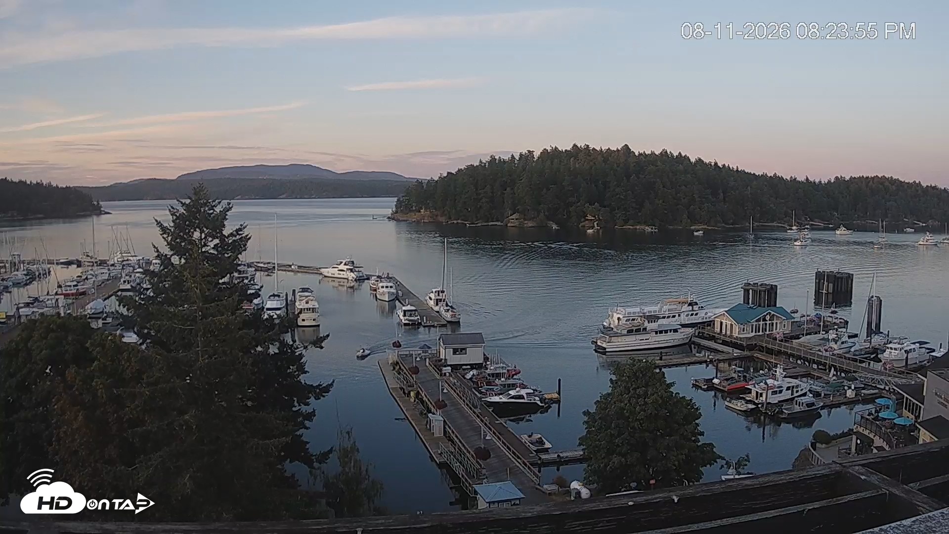 Snapshot of Friday Harbor - San Juan Island Live Webcam taken Aug 11, 2026, 8:24pm PDT