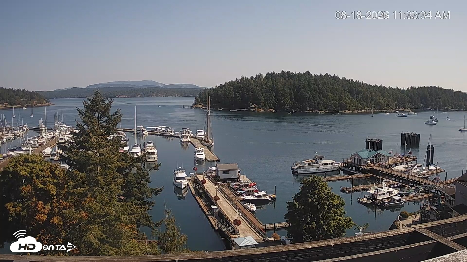 Snapshot of Friday Harbor - San Juan Island Live Webcam taken Aug 18, 2026, 11:34am PDT
