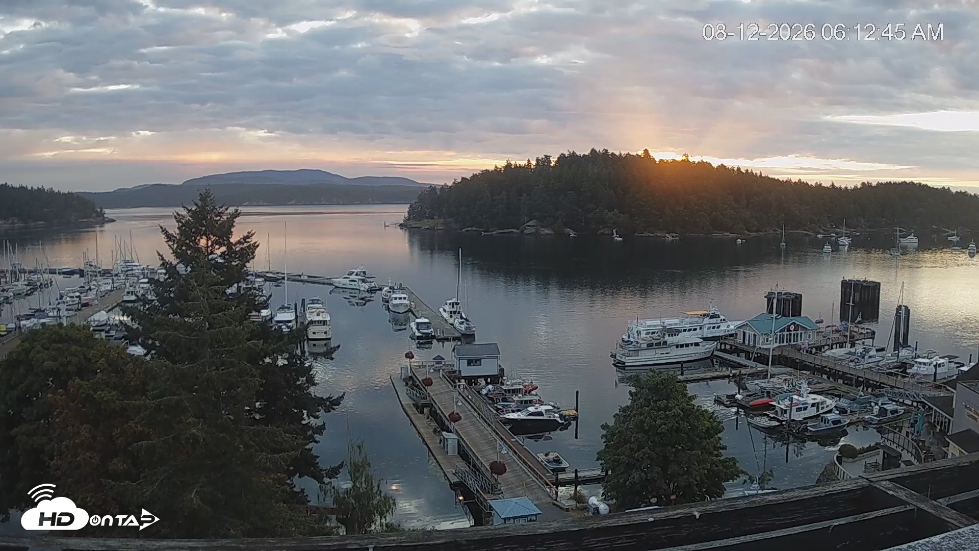 Snapshot of Friday Harbor - San Juan Island Live Webcam taken Aug 12, 2026, 6:13am PDT