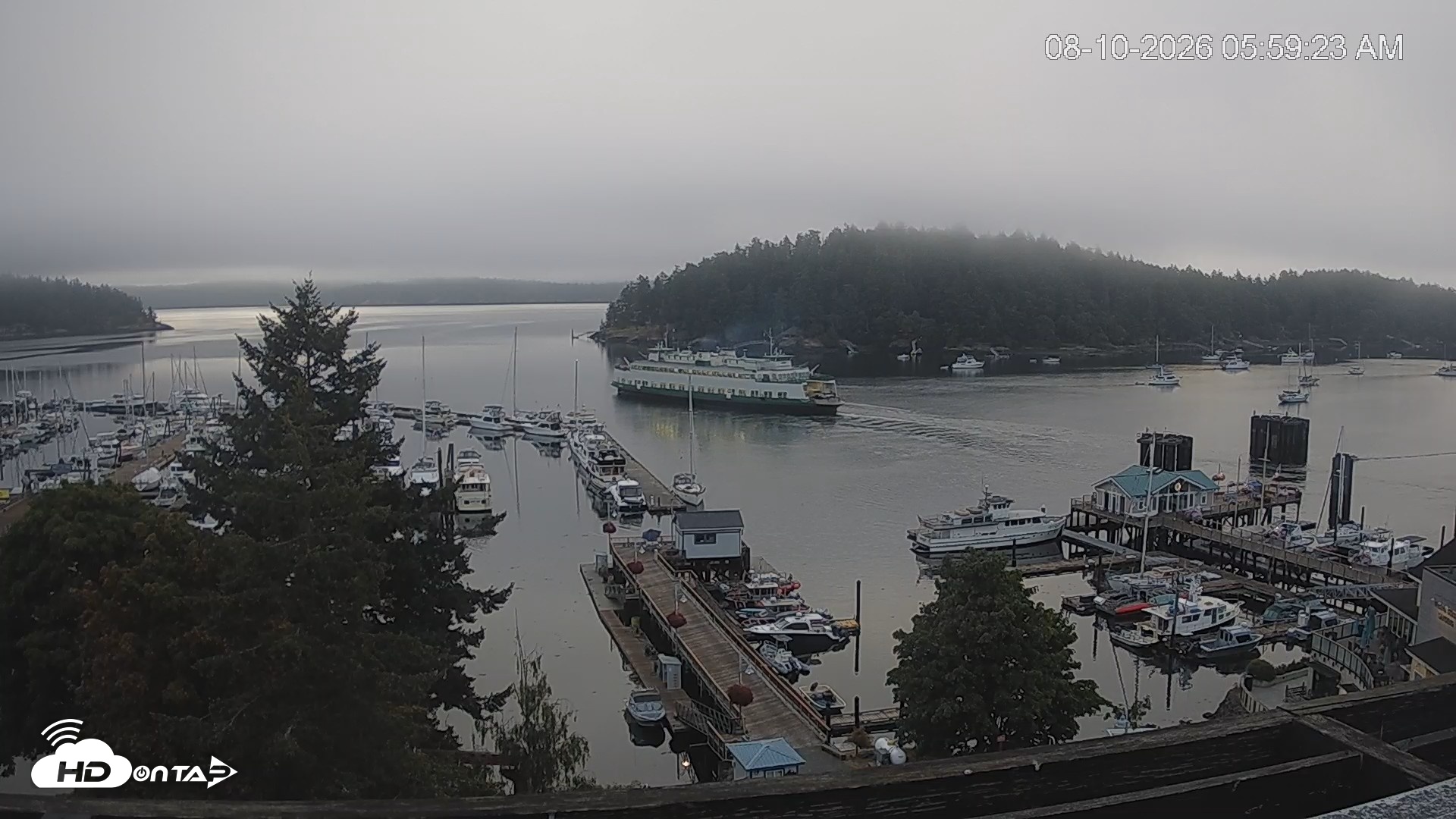 Snapshot of Friday Harbor - San Juan Island Live Webcam taken Aug 10, 2026, 6:04am PDT