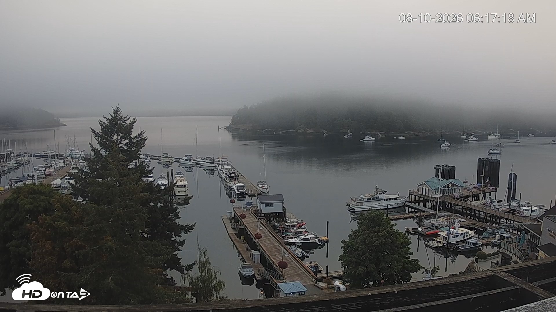 Snapshot of Friday Harbor - San Juan Island Live Webcam taken Aug 10, 2026, 6:18am PDT