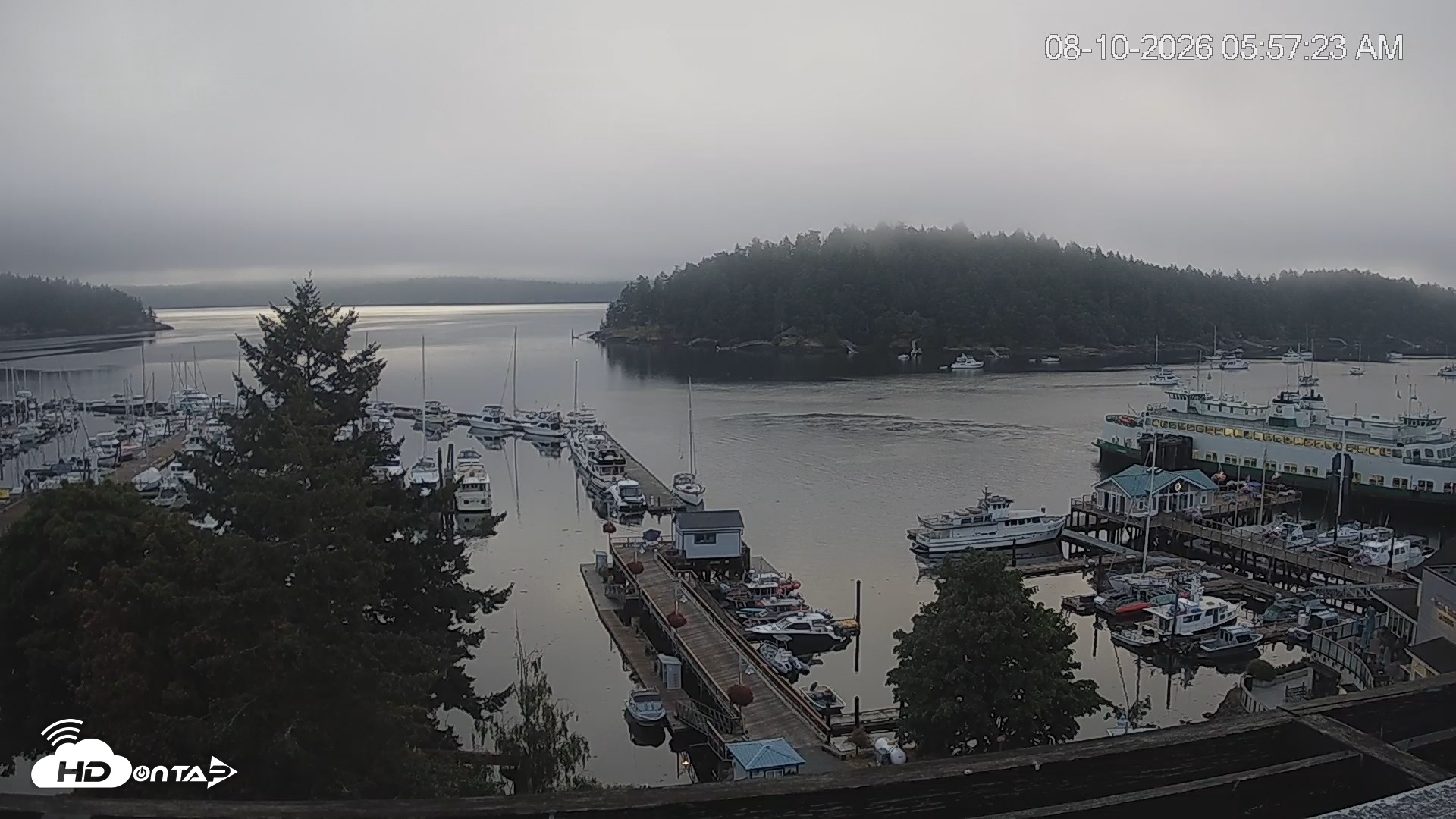 Snapshot of Friday Harbor - San Juan Island Live Webcam taken Aug 10, 2026, 5:58am PDT