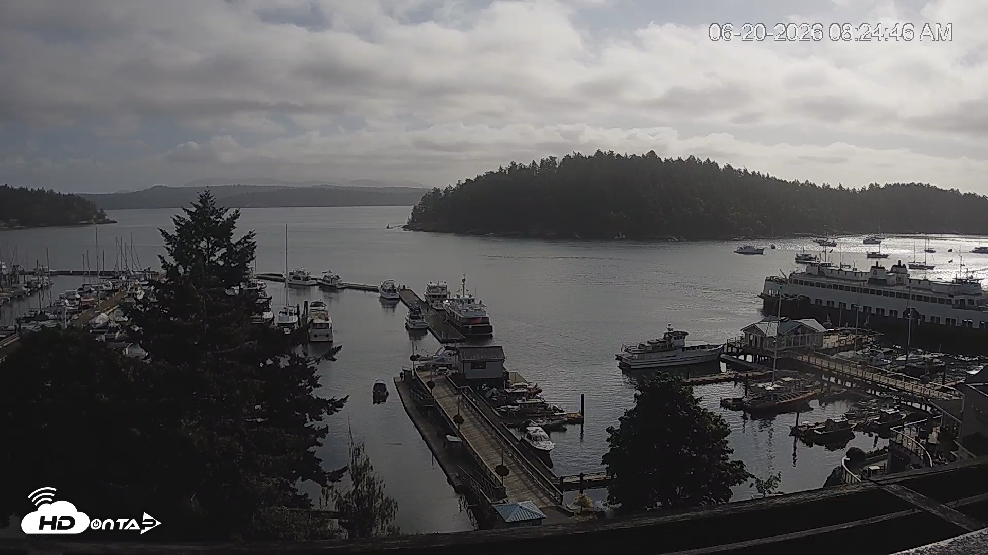 Snapshot of Friday Harbor - San Juan Island Live Webcam taken Jun 20, 2026, 8:25am PDT