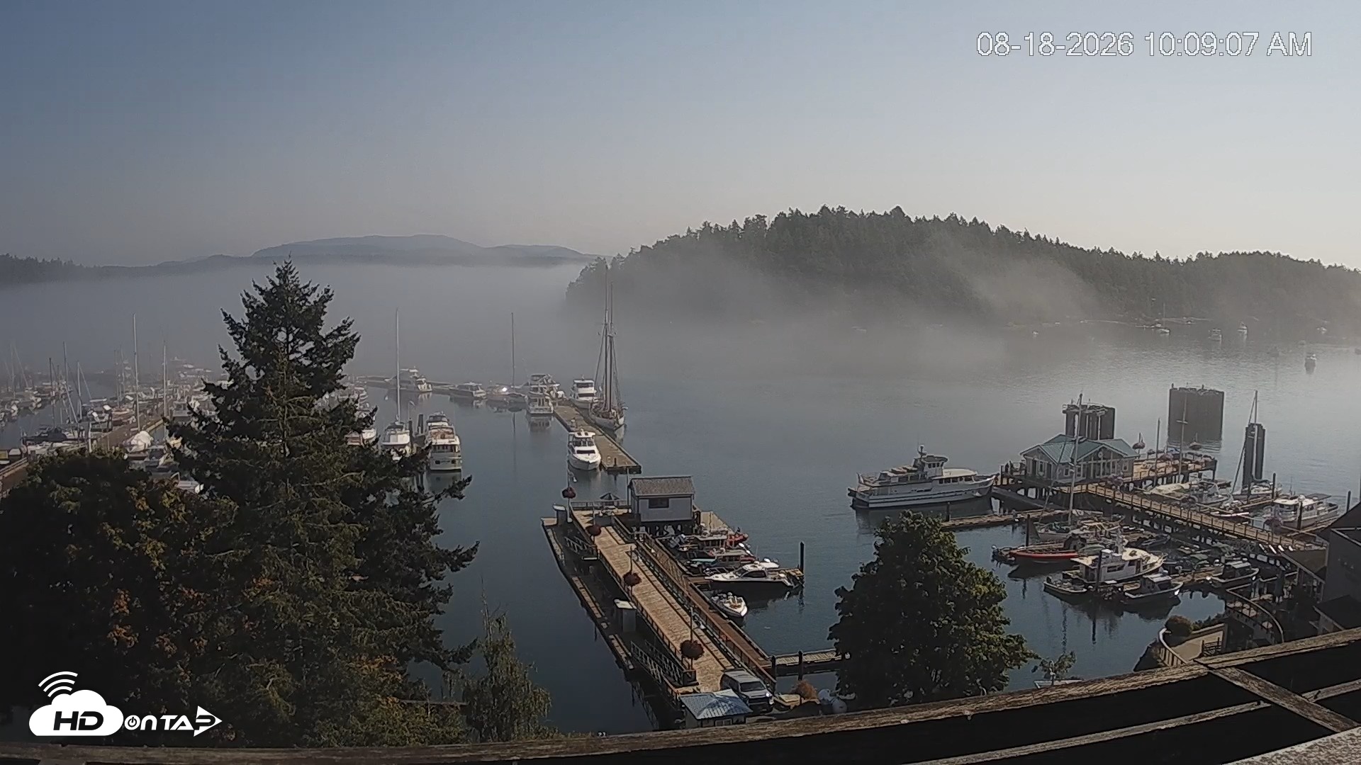 Snapshot of Friday Harbor - San Juan Island Live Webcam taken Aug 18, 2026, 10:09am PDT